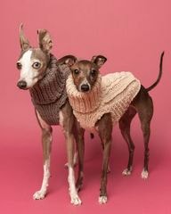 イタグレ服　Lunetta コート イタグレ服のLunetta