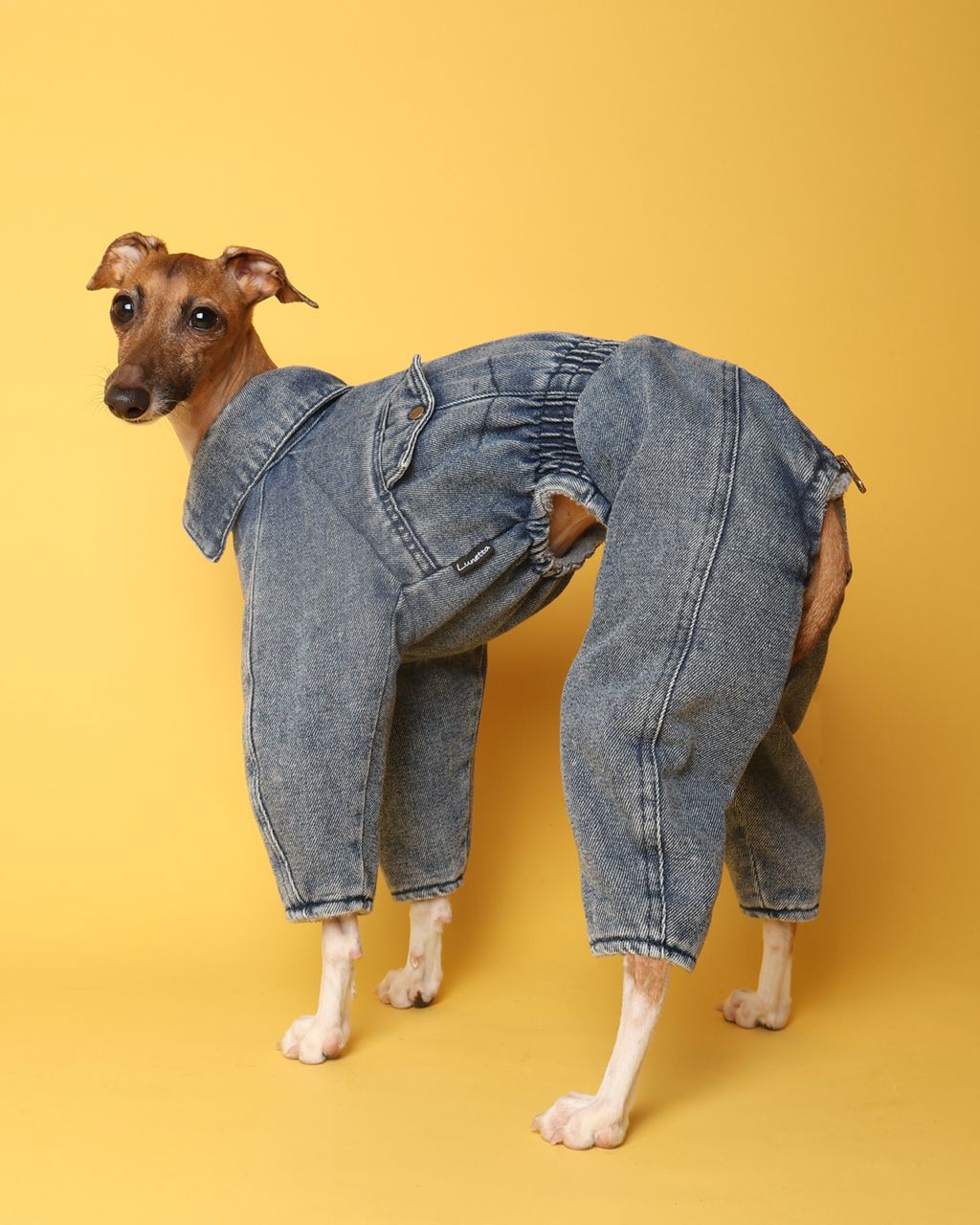 イタグレ服　Lunetta コート【美品、お値下げ】 Denim Jumpsuits | 商品ラインナップ,アウター | イタグレ服のLunetta
