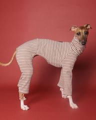 Multi Border Rompers