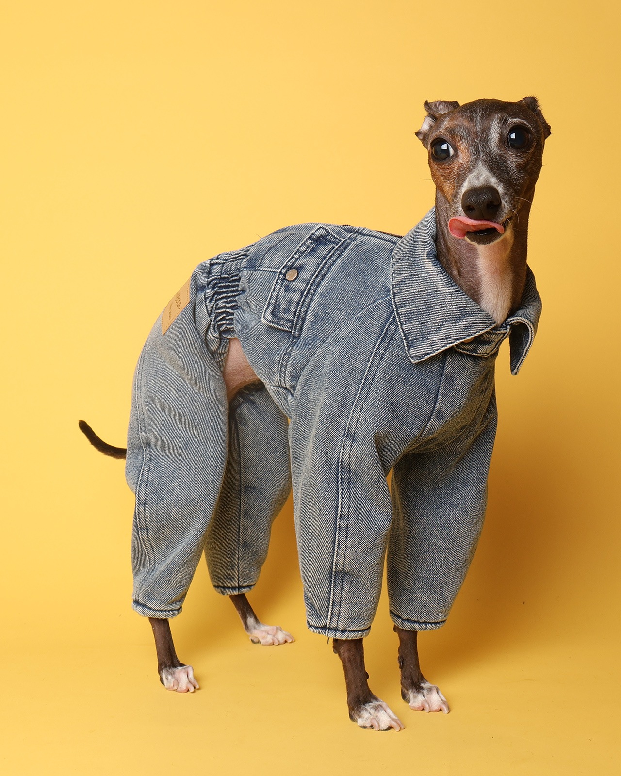 Denim Jumpsuits