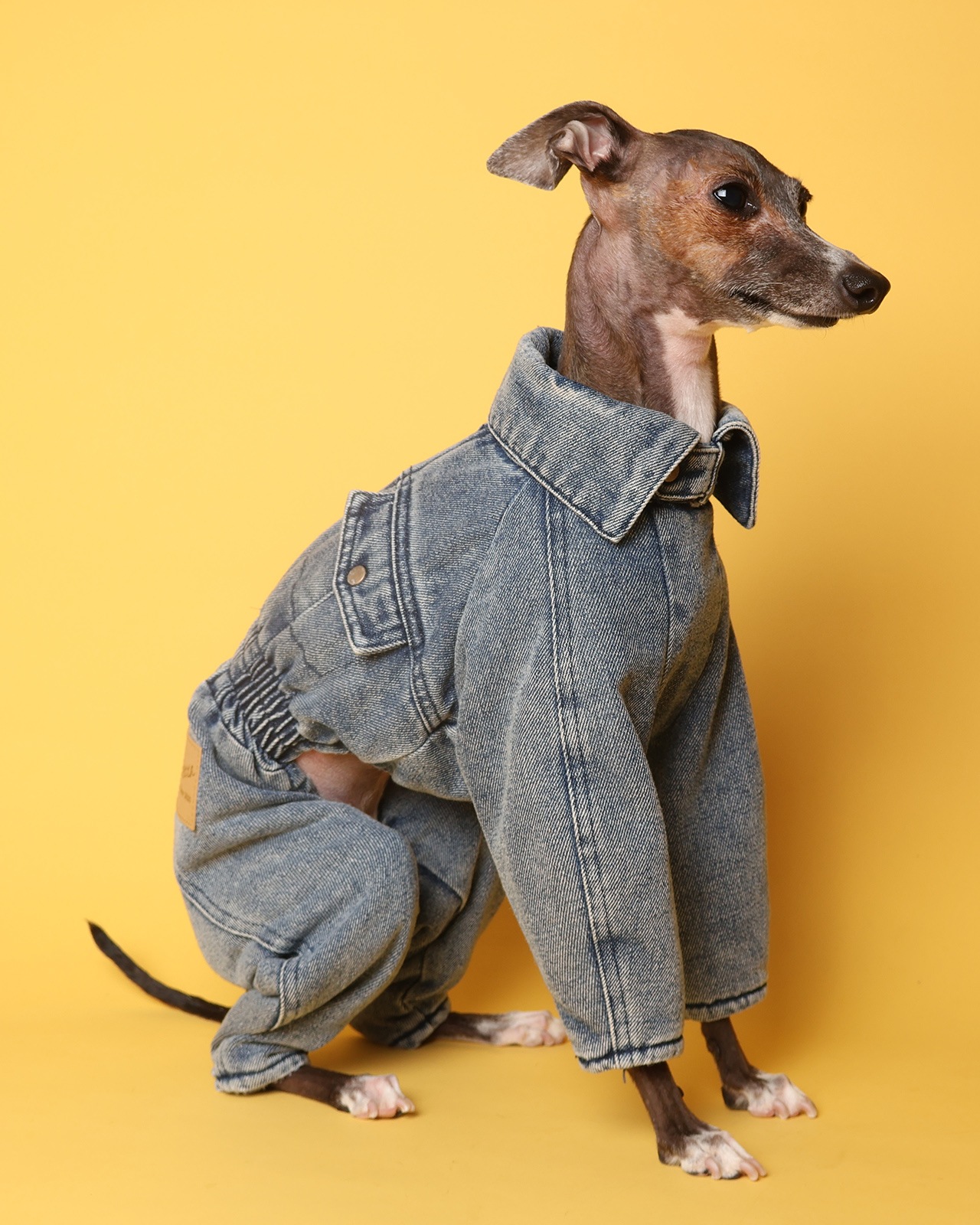 Denim Jumpsuits