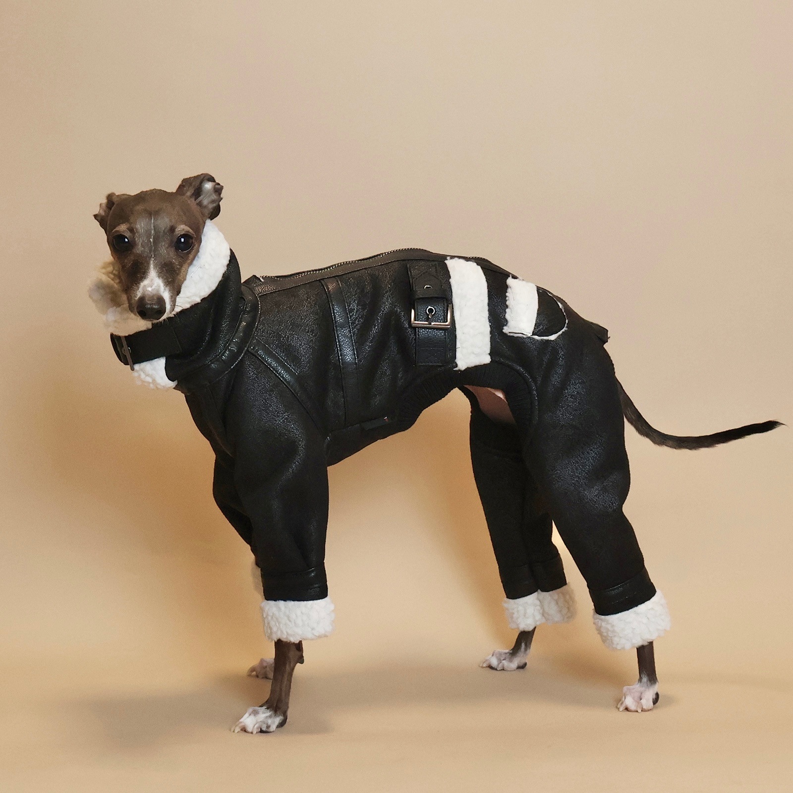 B3 Flight Suit��(23AW)