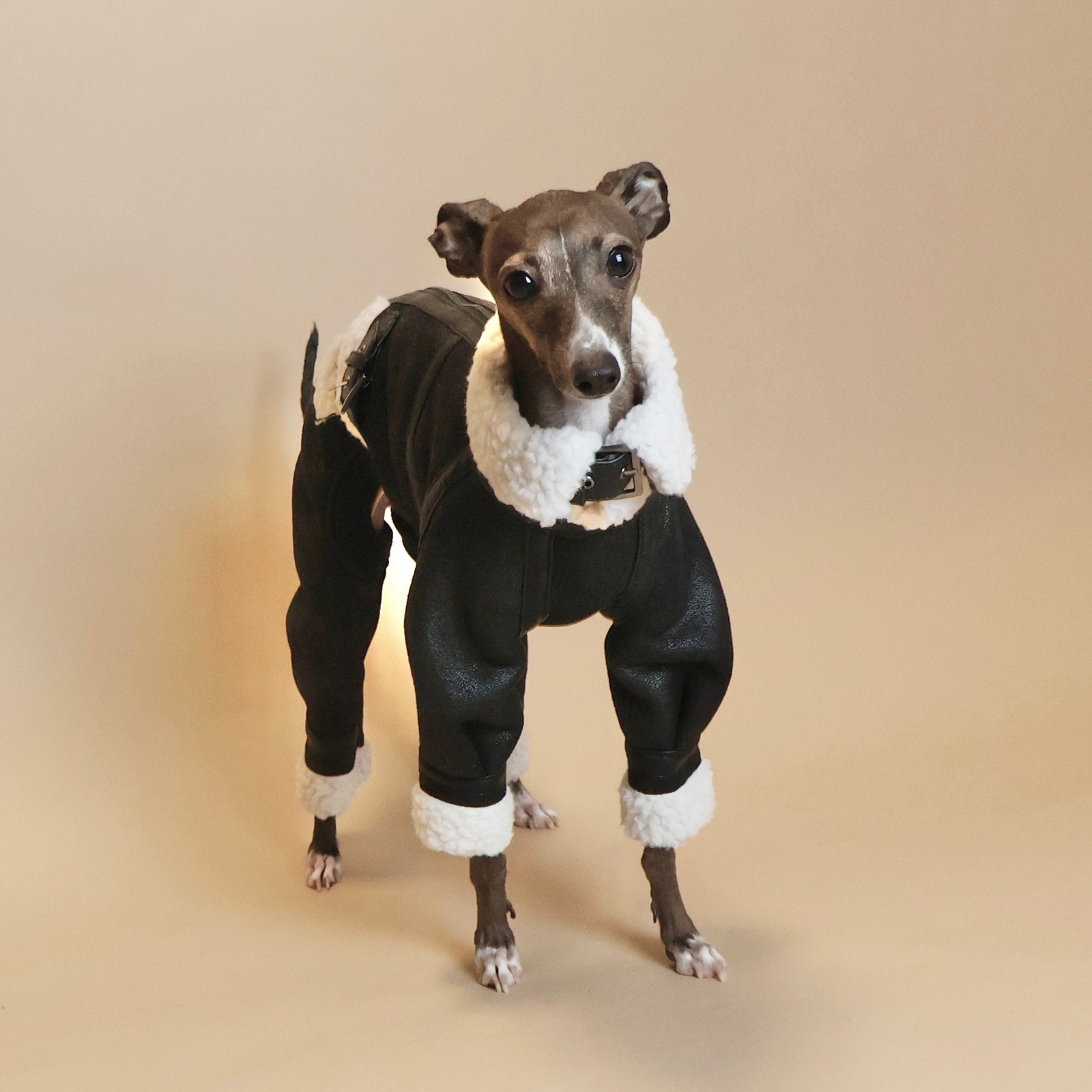 B3 Flight Suit��(23AW)