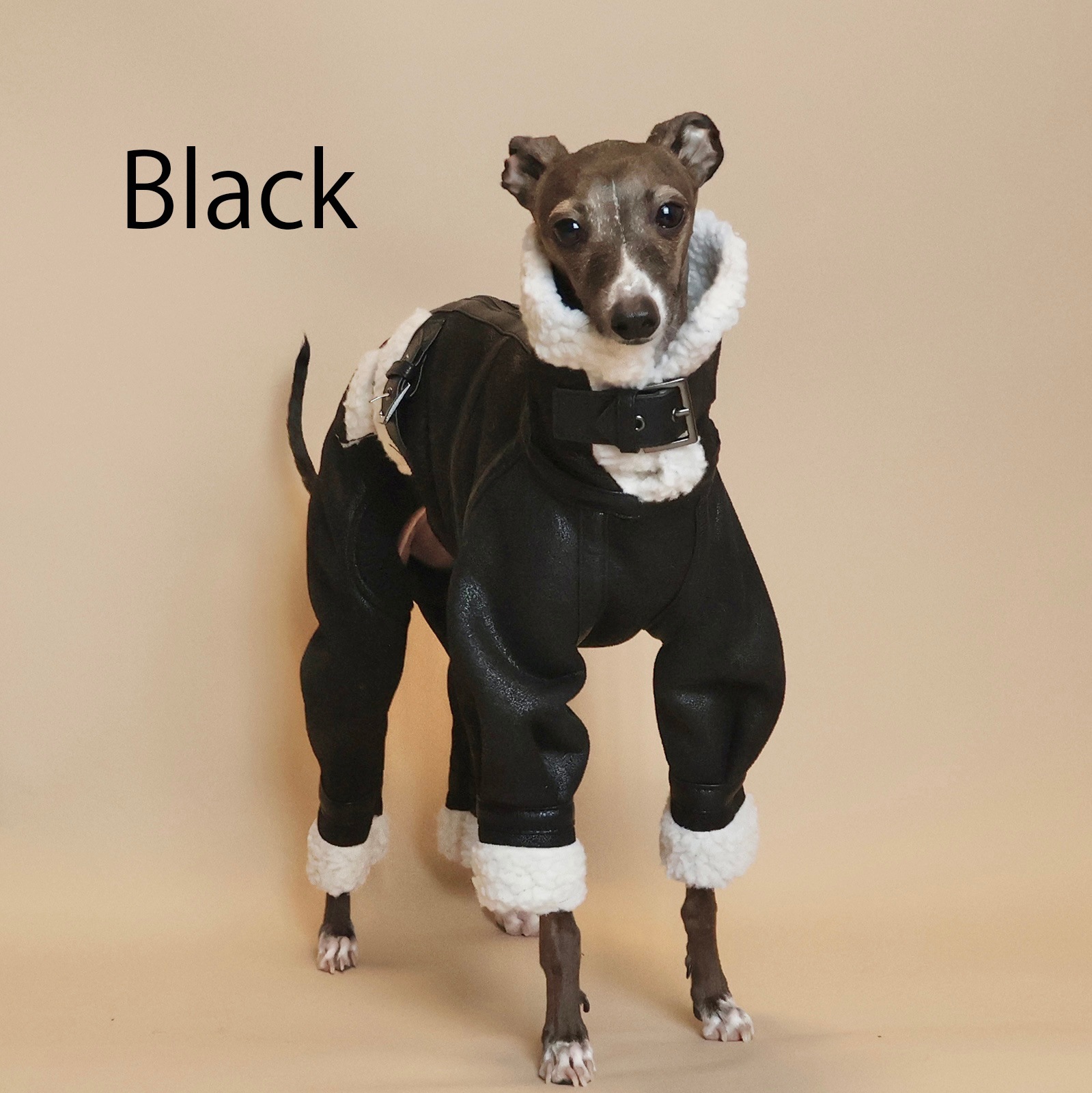 B3 Flight Suit��(23AW)