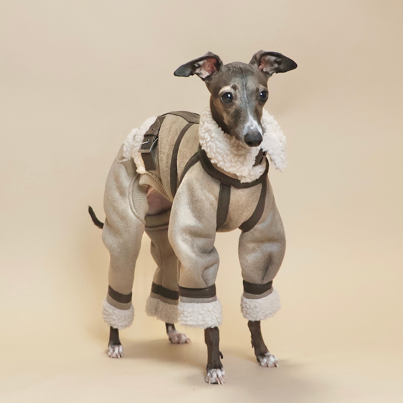 B3 Flight Suit��(23AW)