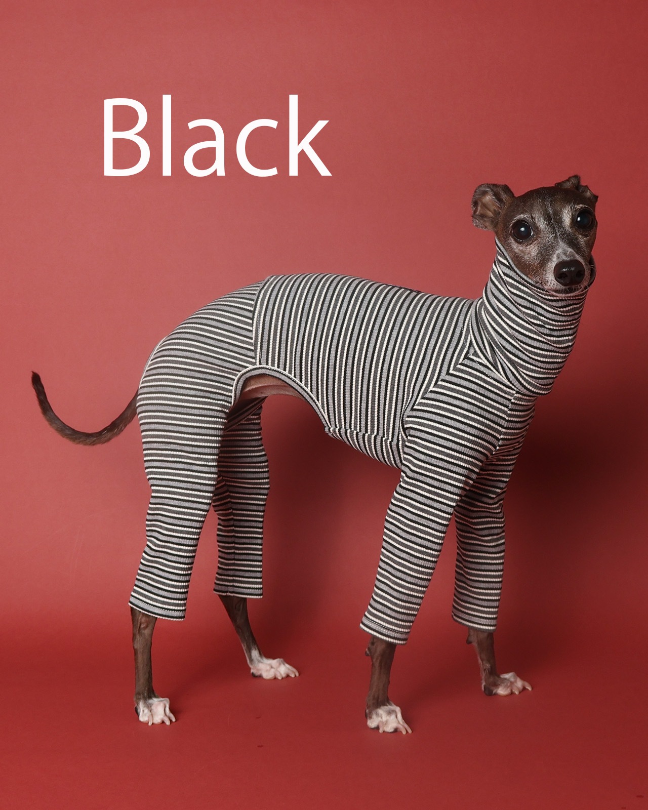 Multi Border Rompers