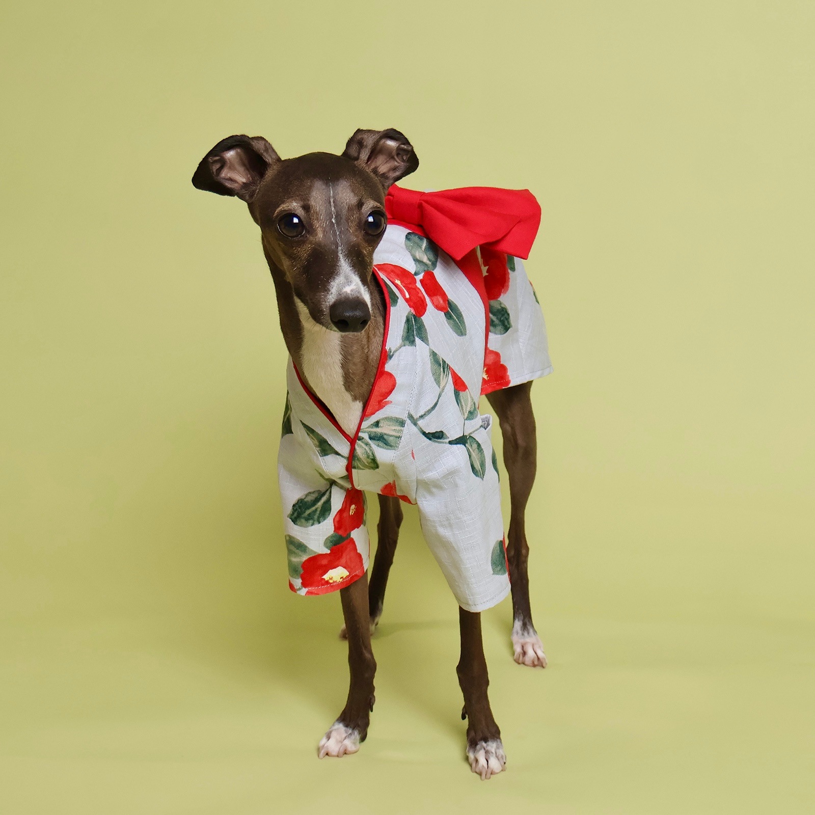 �ڼ��ս�λ����ᡡ���λ�