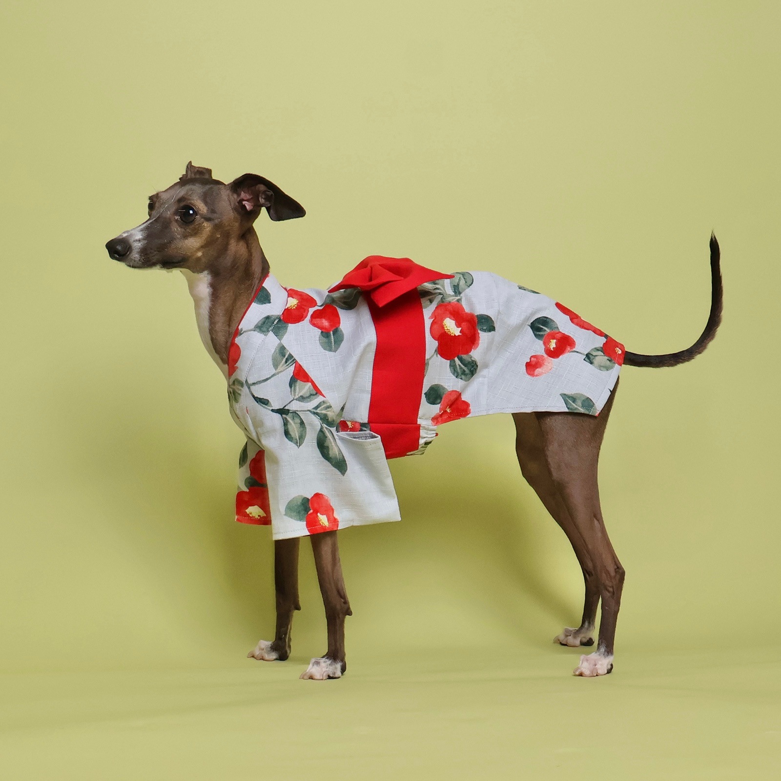 �ڼ��ս�λ����ᡡ���λ�