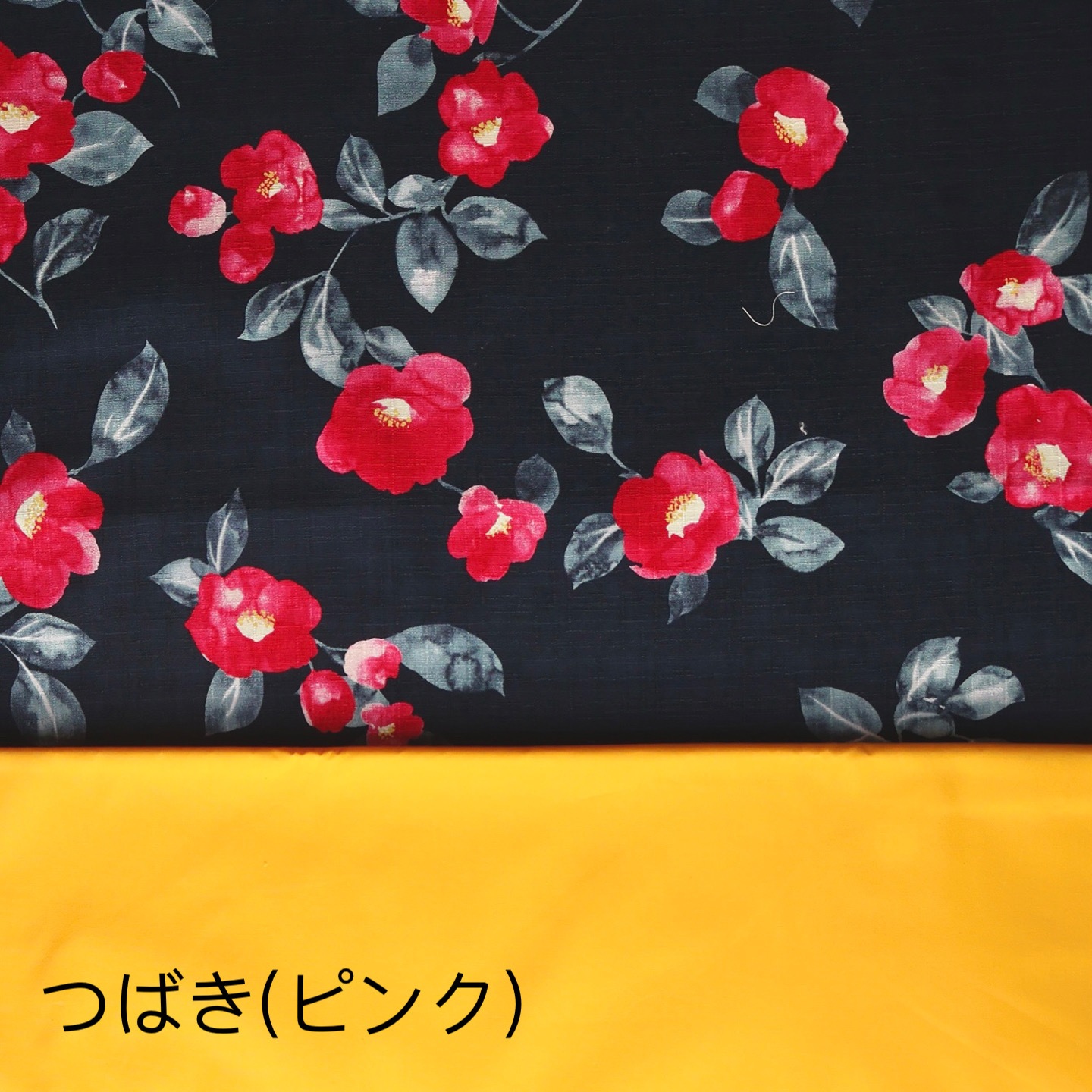 �ڼ��ս�λ����ᡡ���λ�