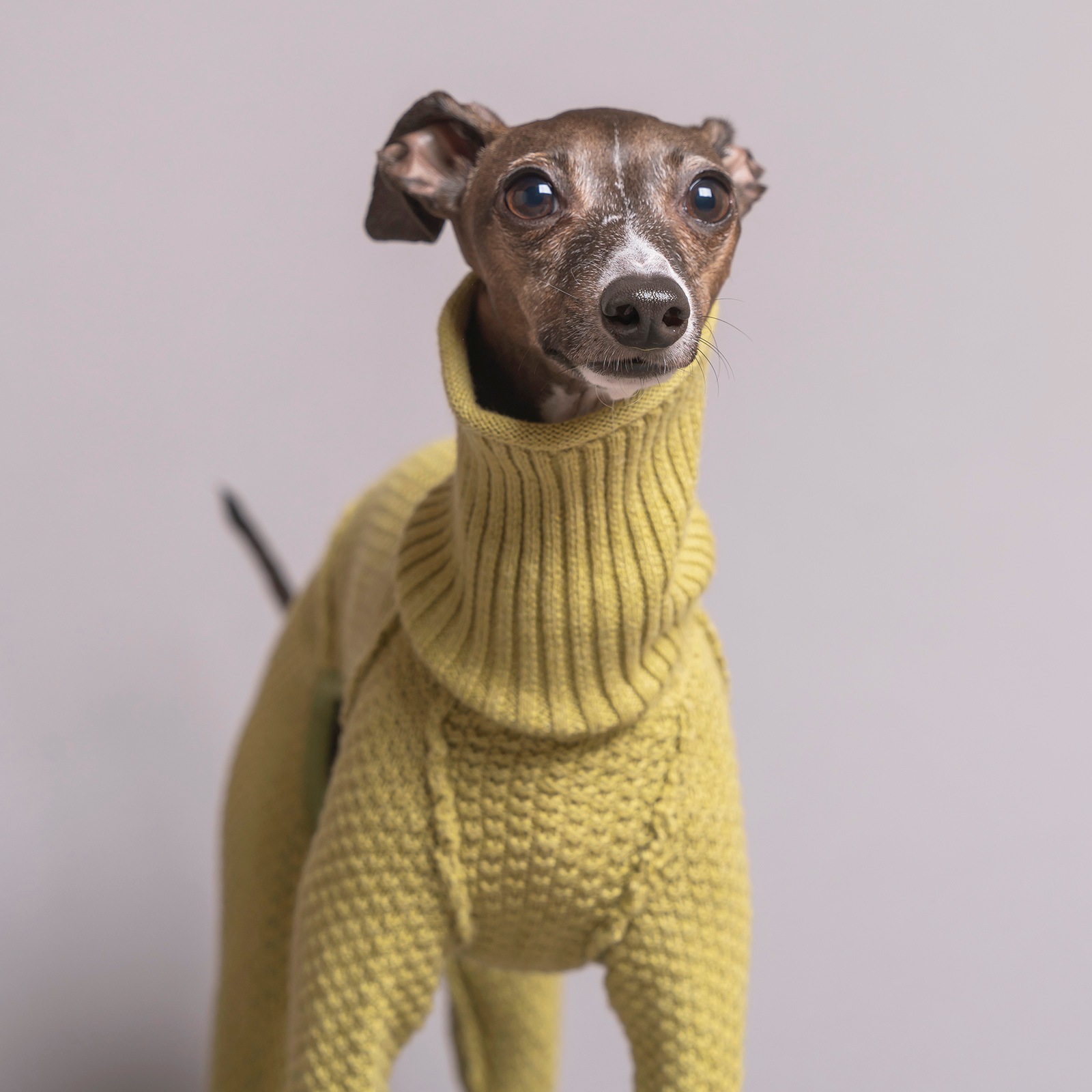 Moss Stitch Knit Rompers 24AW