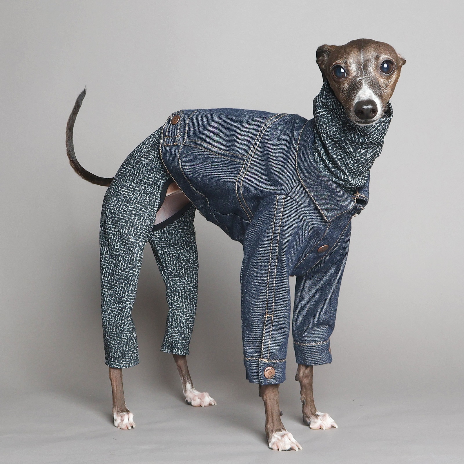 Rushguard Rompers (24AW)