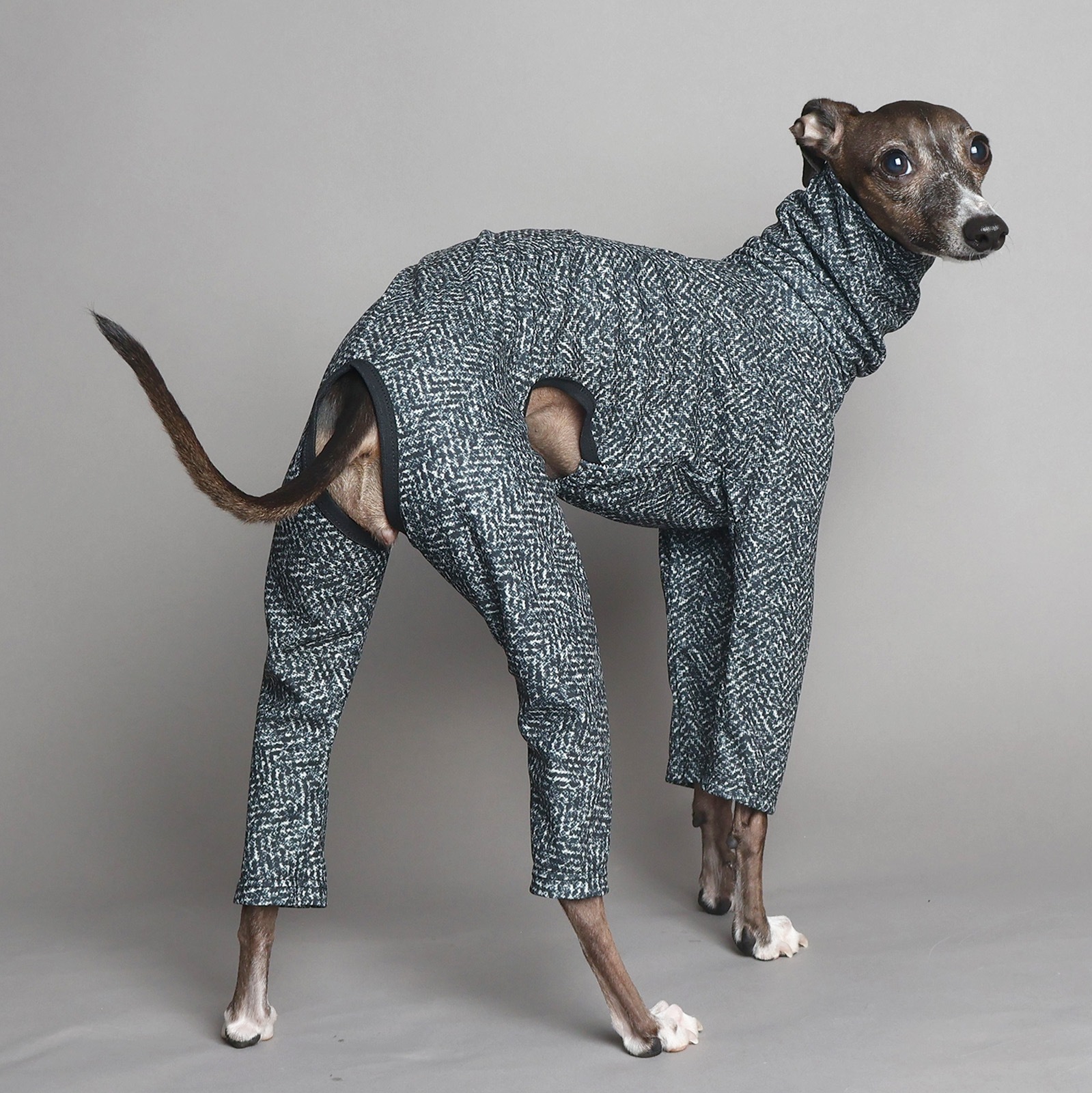 Rushguard Rompers (24AW)