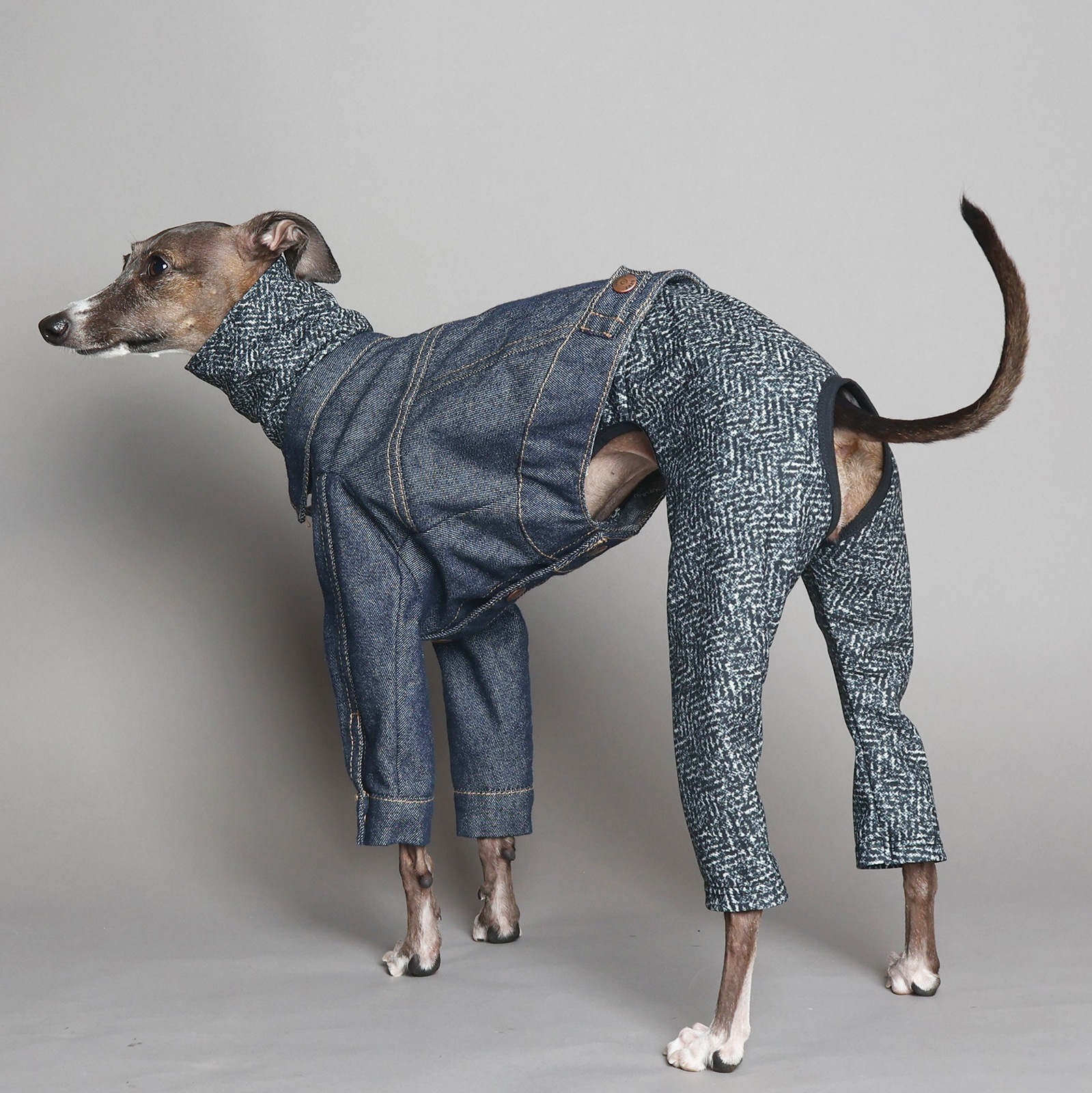 Rushguard Rompers (24AW)