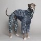Rushguard Rompers (24AW)