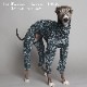 Rushguard Rompers (24AW)