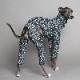 Rushguard Rompers (24AW)