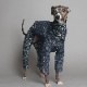 Rushguard Rompers (24AW)
