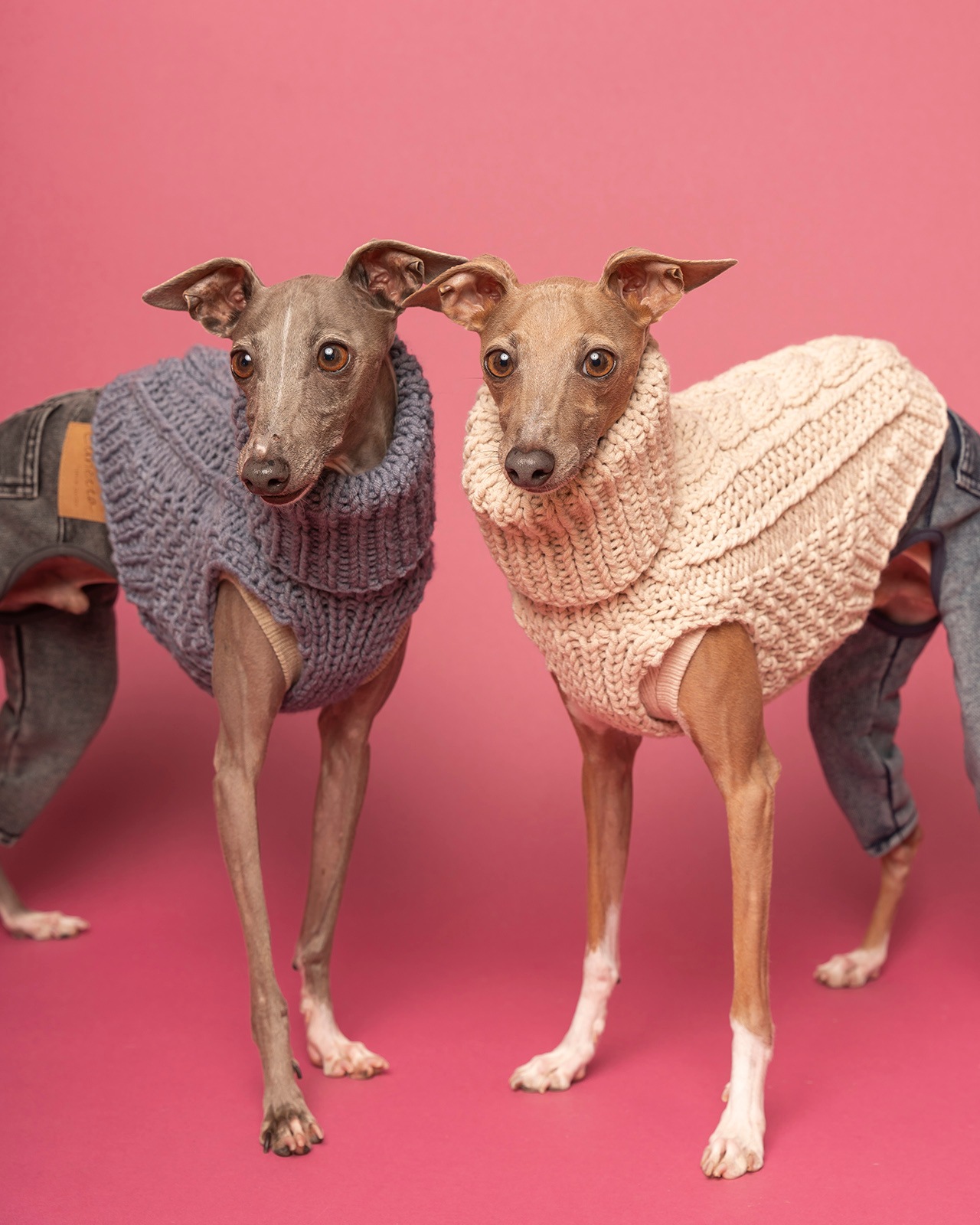 ���϶�Ź�� ��Źͽ�� ��¾���ʤȤ�Ʊ������Բ�