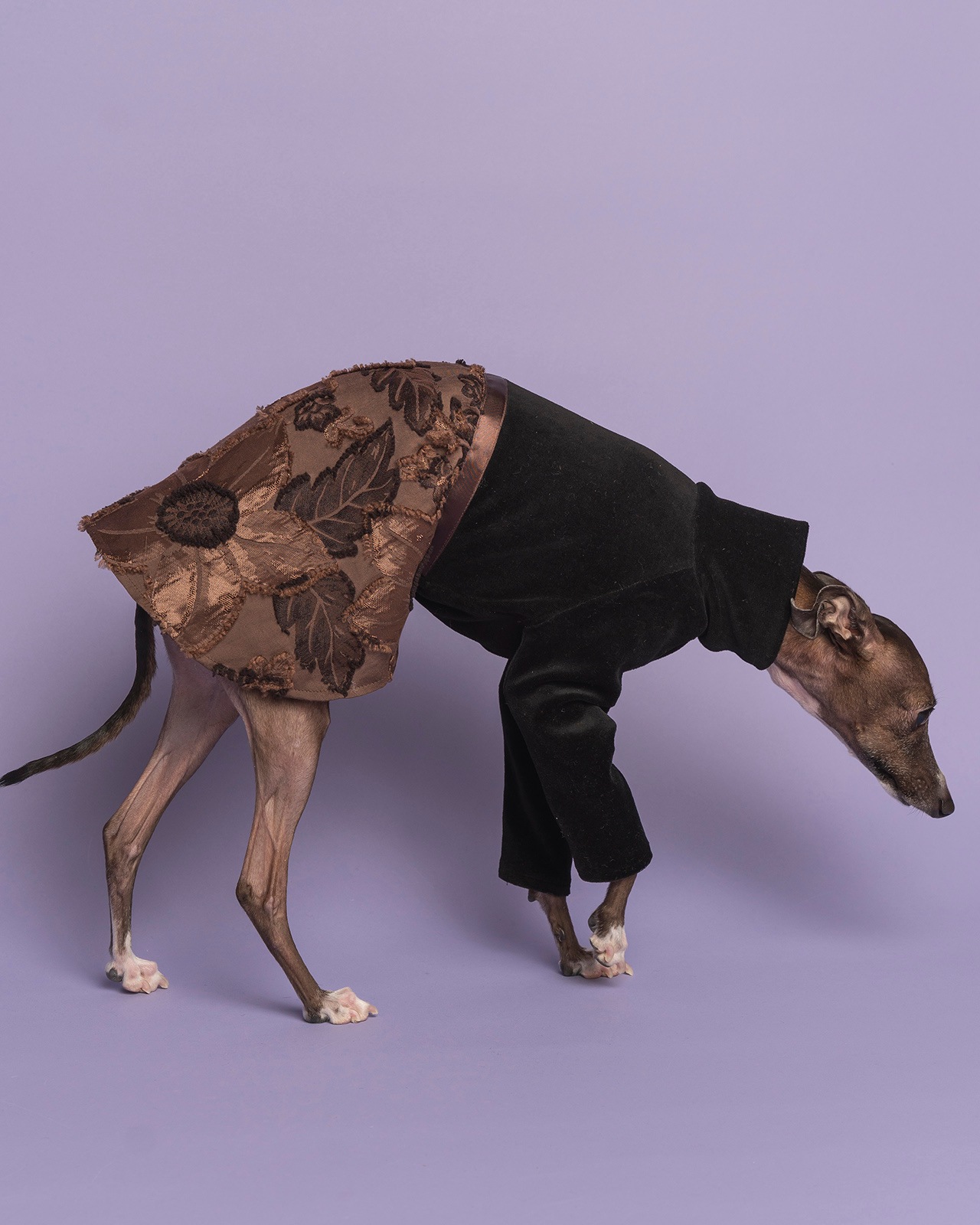 ��3���ܤ��Ϥ���Vintage Flower One-piece