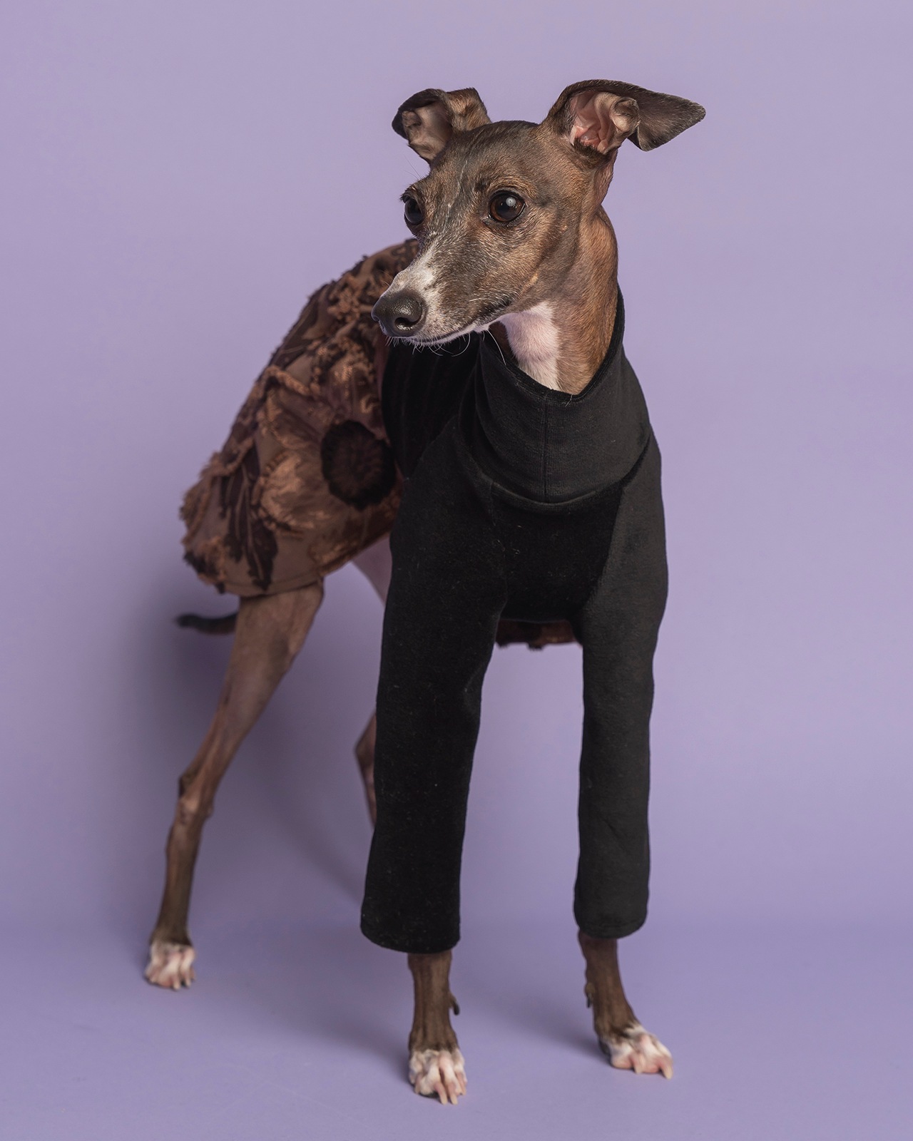 ��3���ܤ��Ϥ���Vintage Flower One-piece