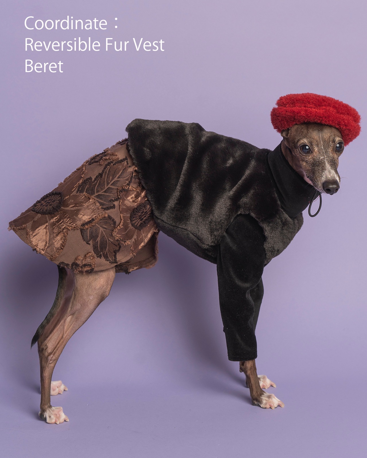 ��3���ܤ��Ϥ���Vintage Flower One-piece