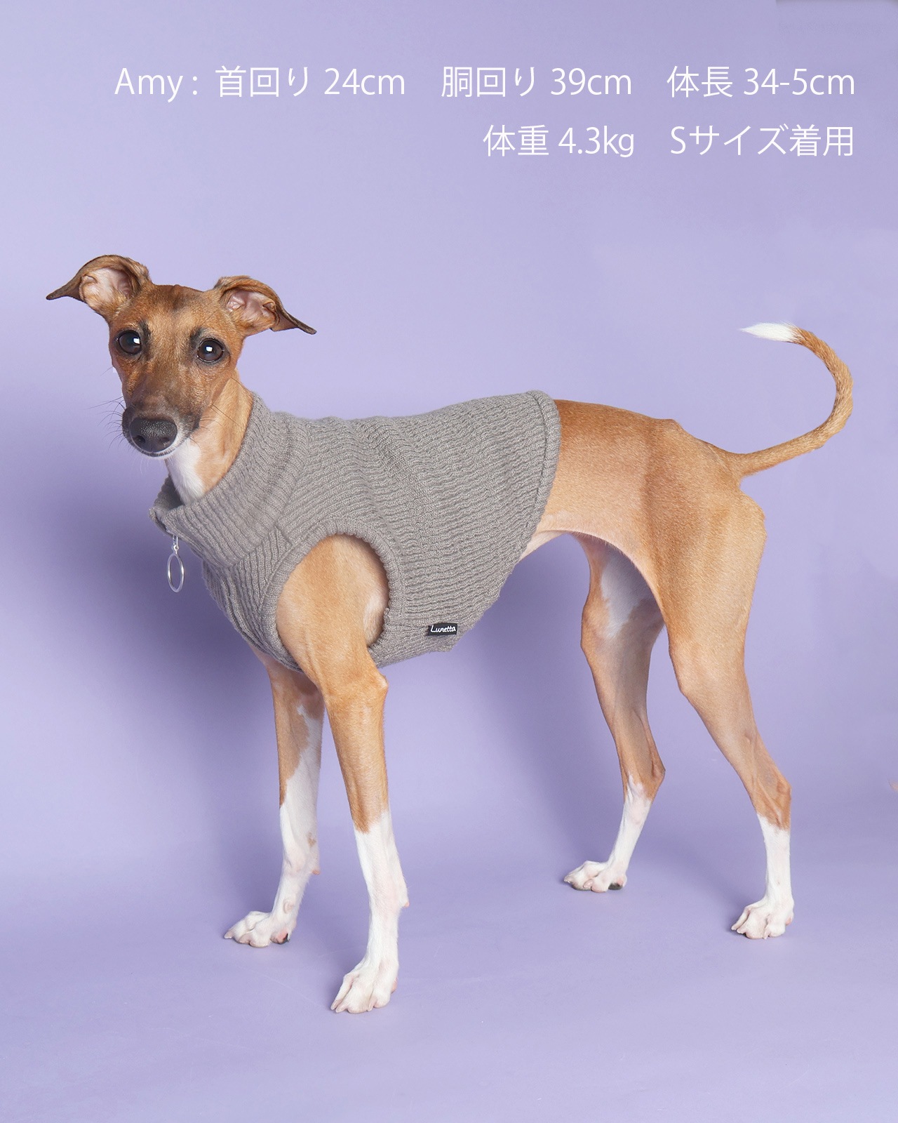 Zip up Short Vest