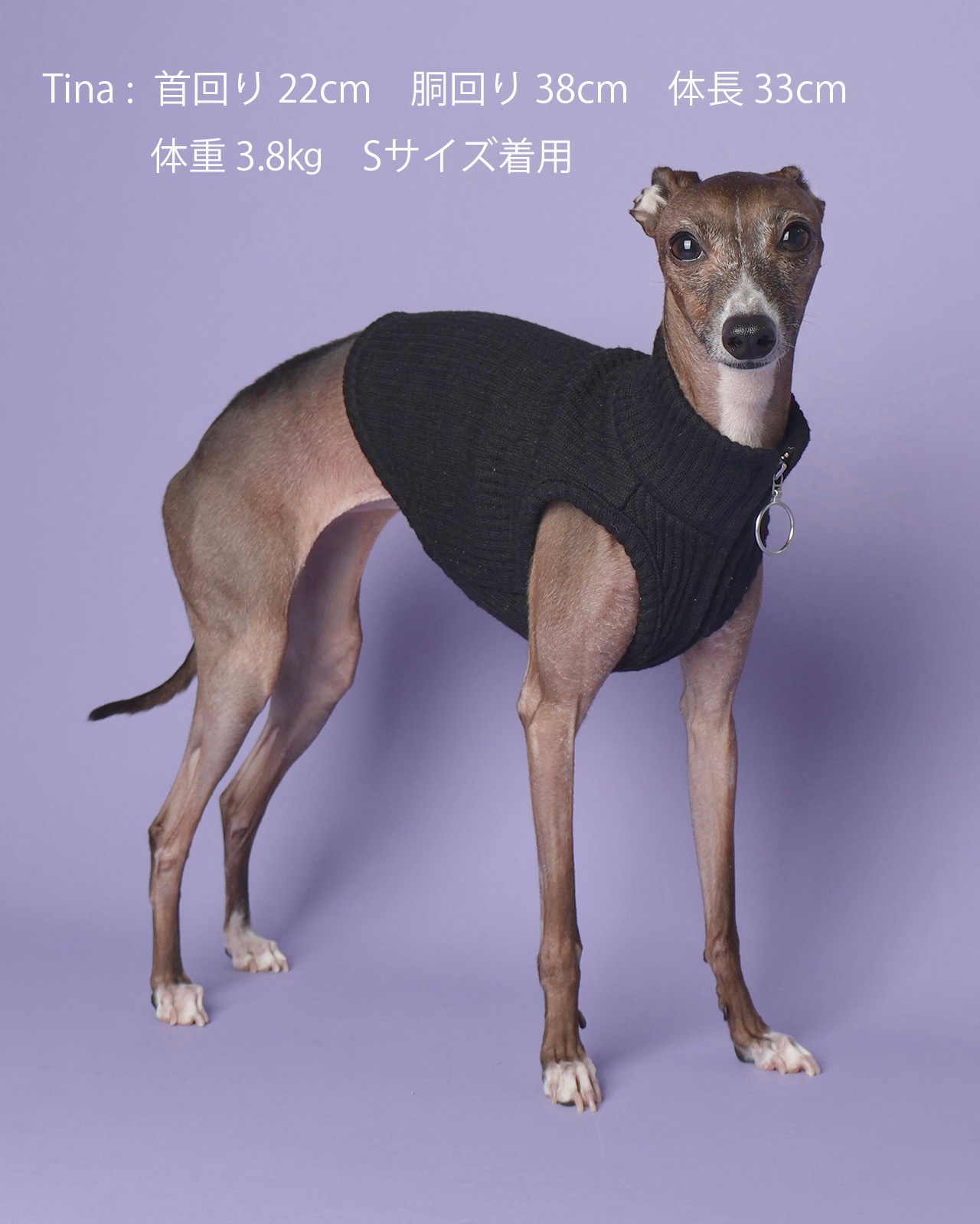 Zip up Short Vest