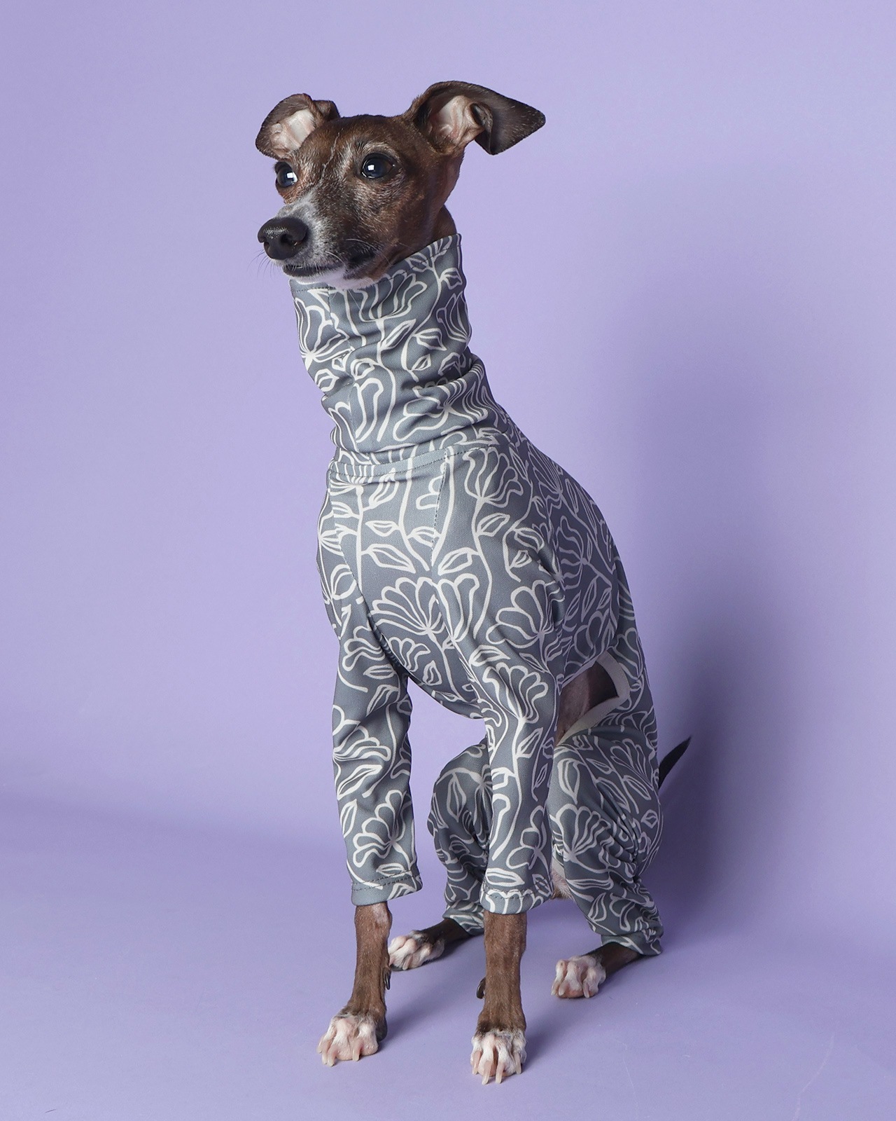 Rushguard Rompers (25SS)