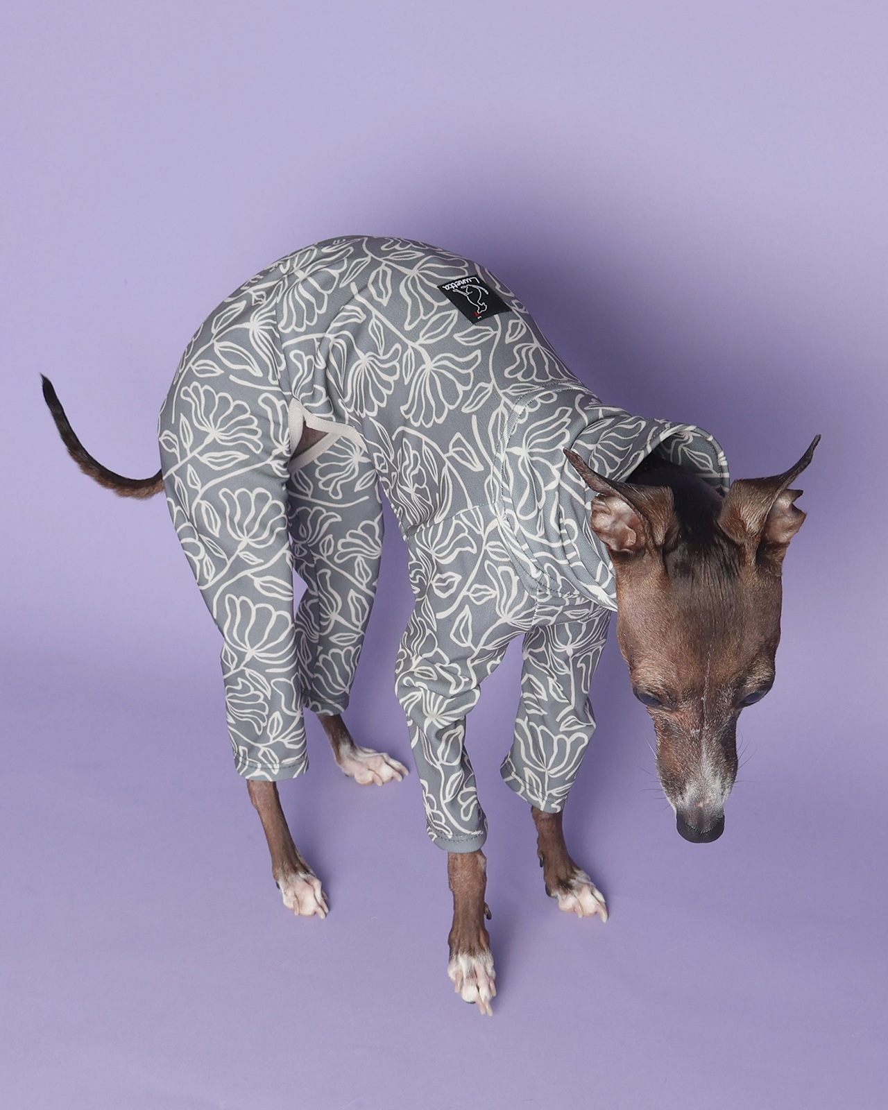 Rushguard Rompers (25SS)