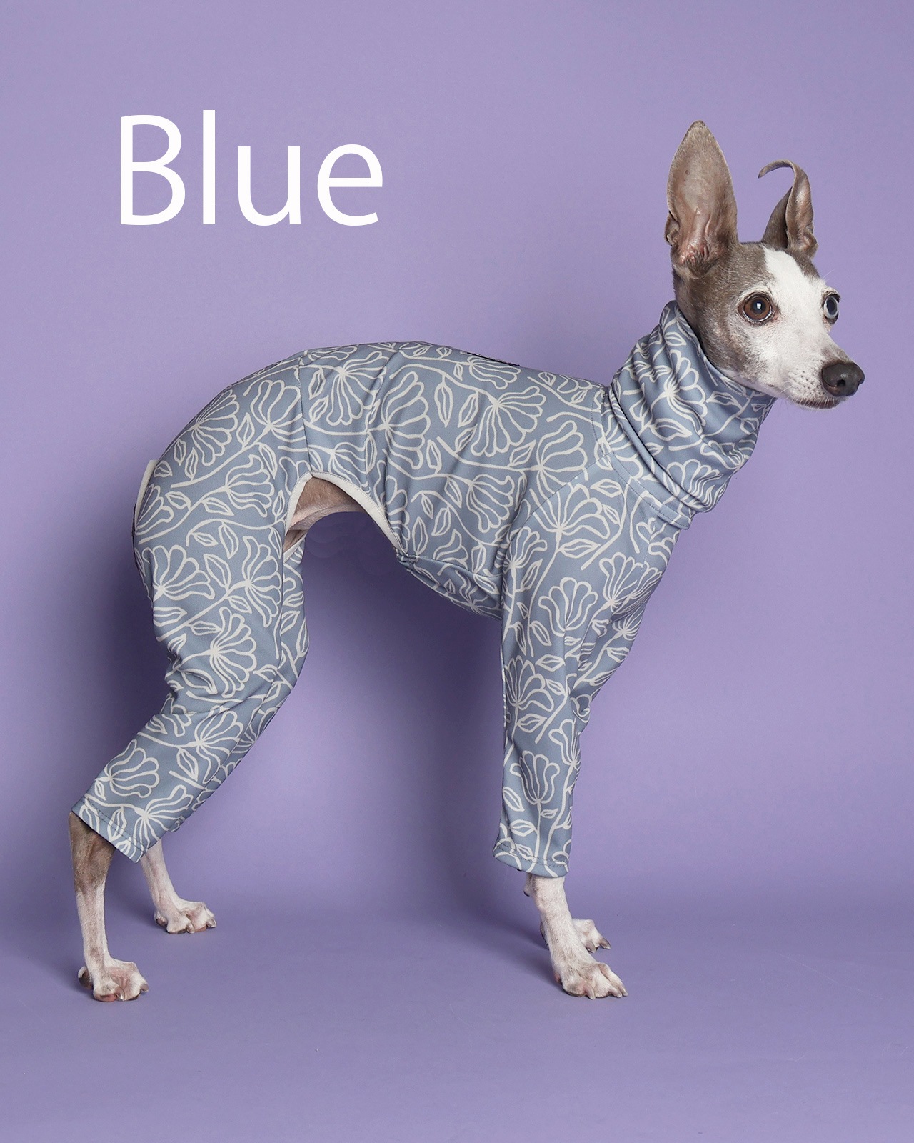 Rushguard Rompers (25SS)