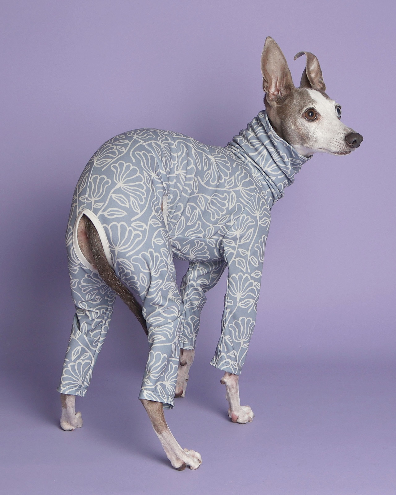 Rushguard Rompers (25SS)