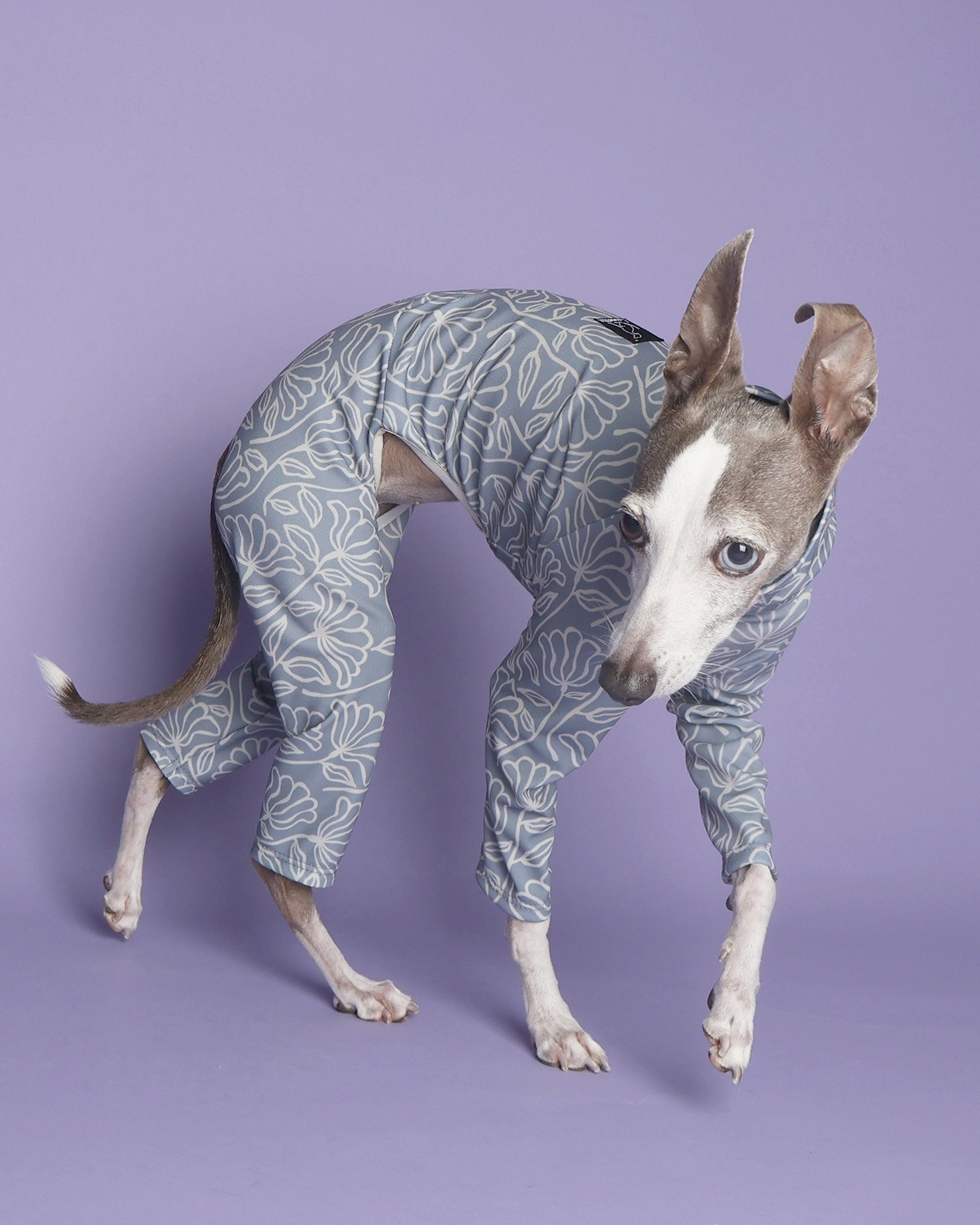 Rushguard Rompers (25SS)