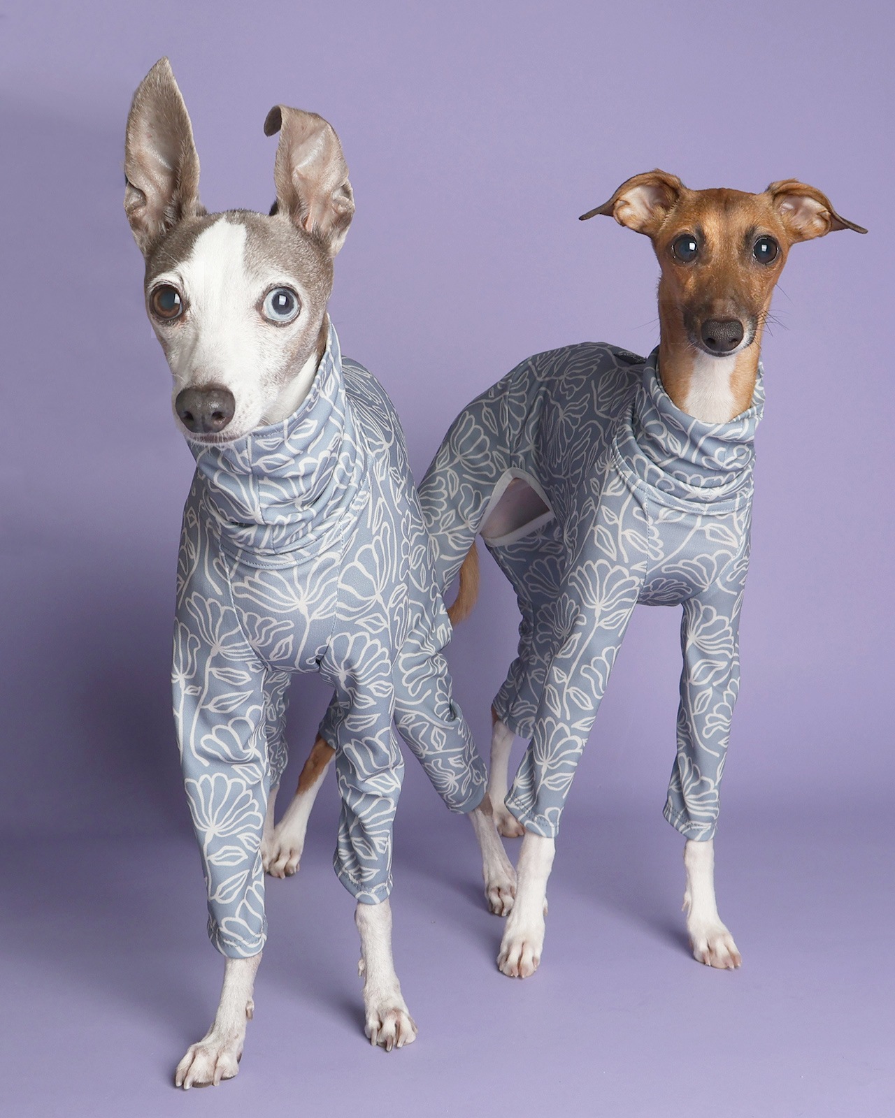 Rushguard Rompers (25SS)