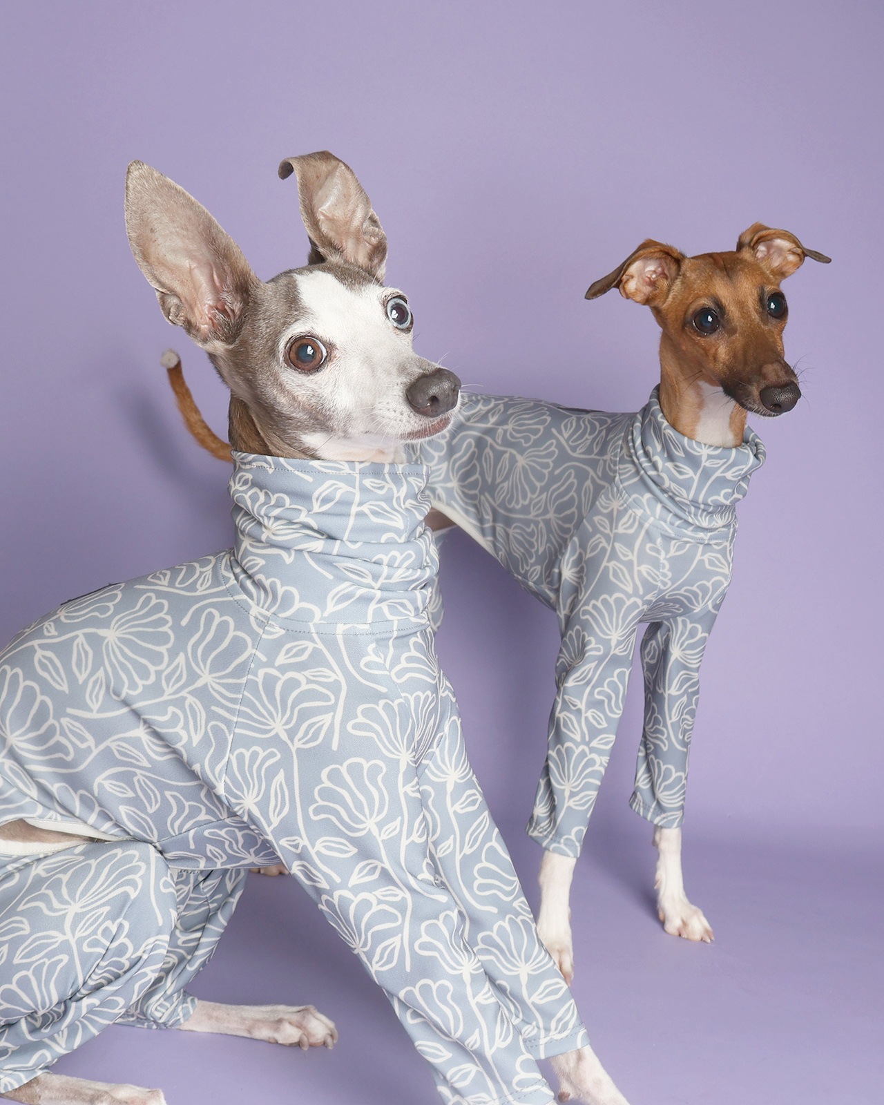 Rushguard Rompers (25SS)