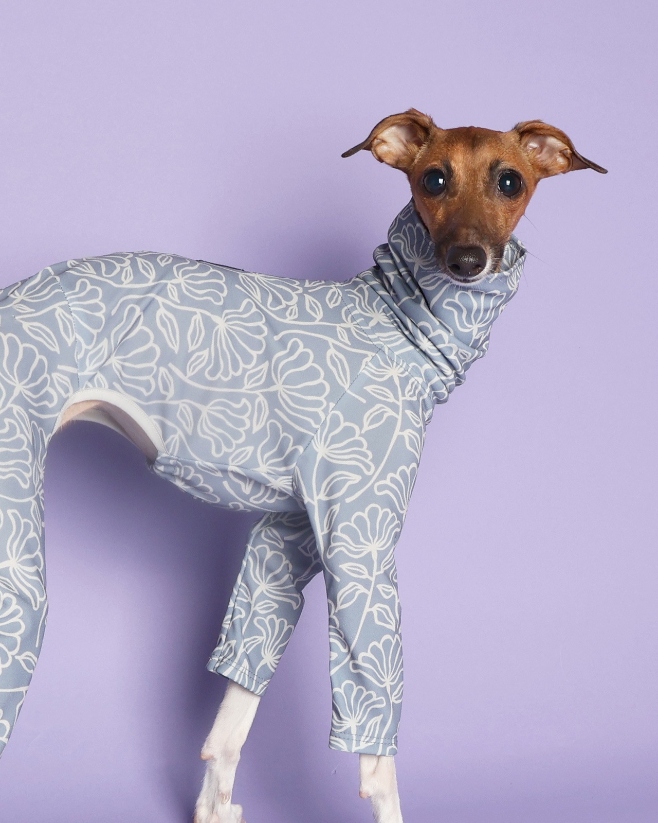 Rushguard Rompers (25SS)