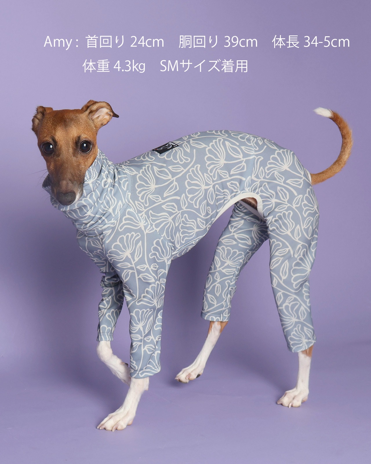 Rushguard Rompers (25SS)