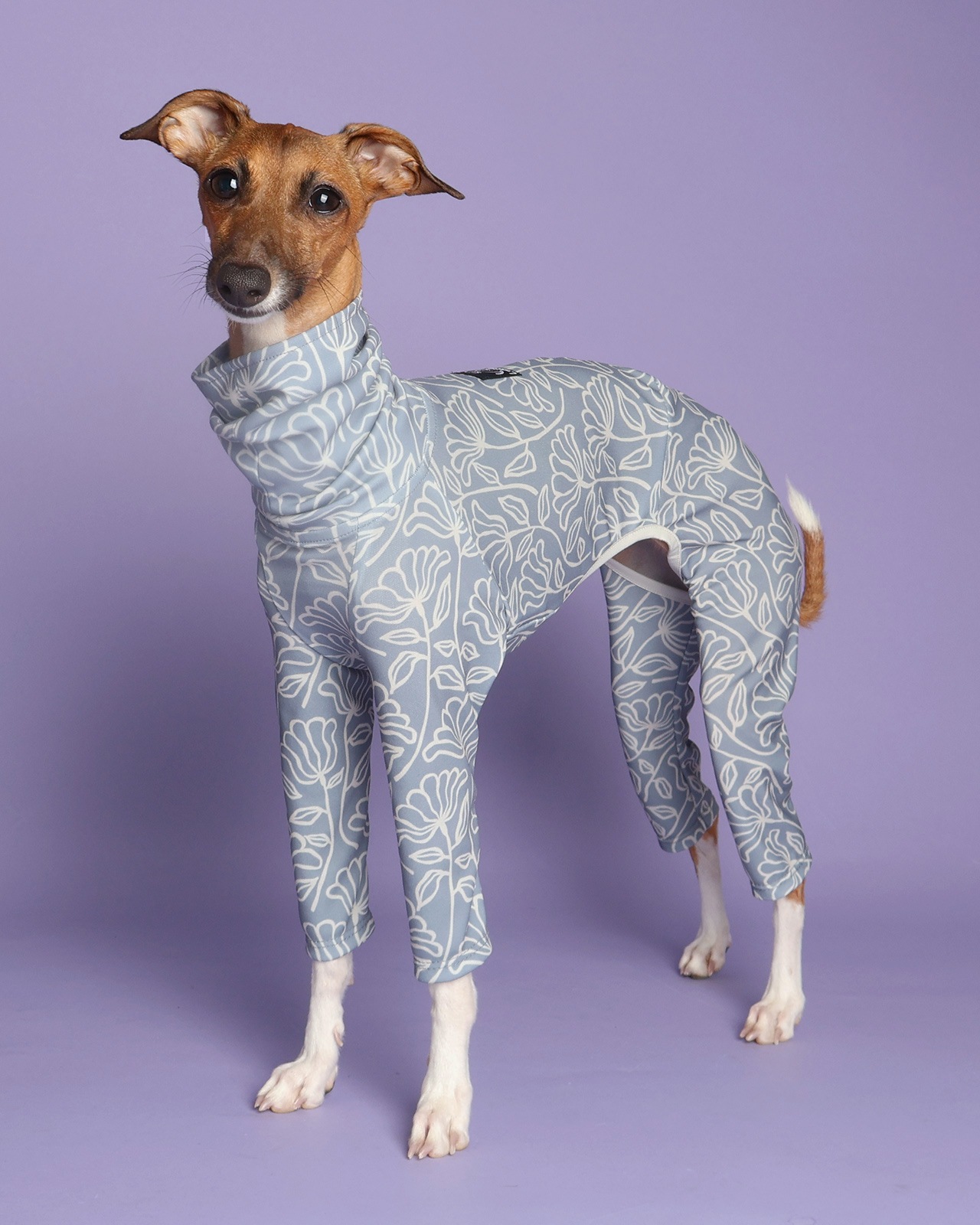 Rushguard Rompers (25SS)