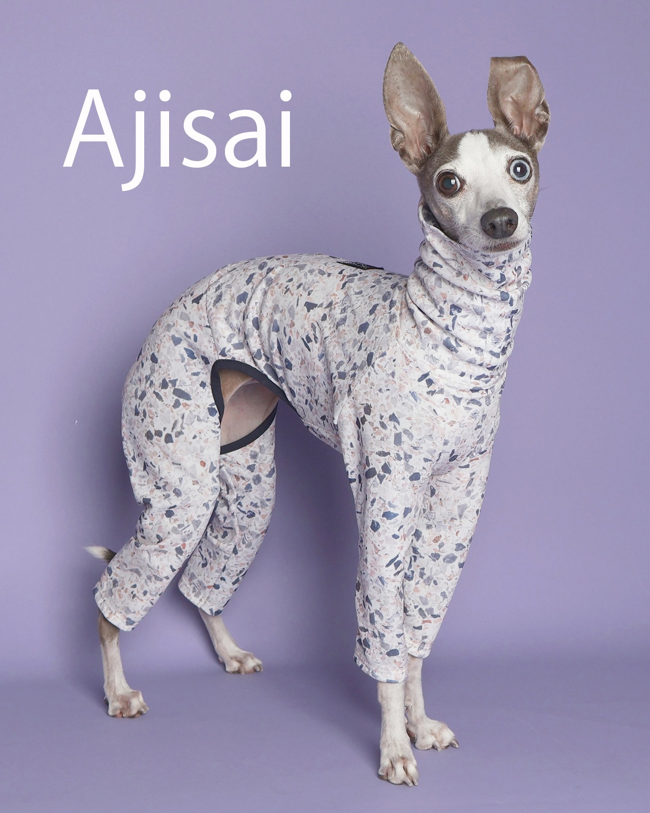 Rushguard Rompers (25SS)