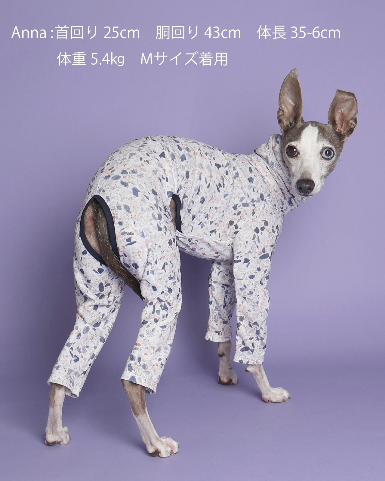 Rushguard Rompers (25SS)