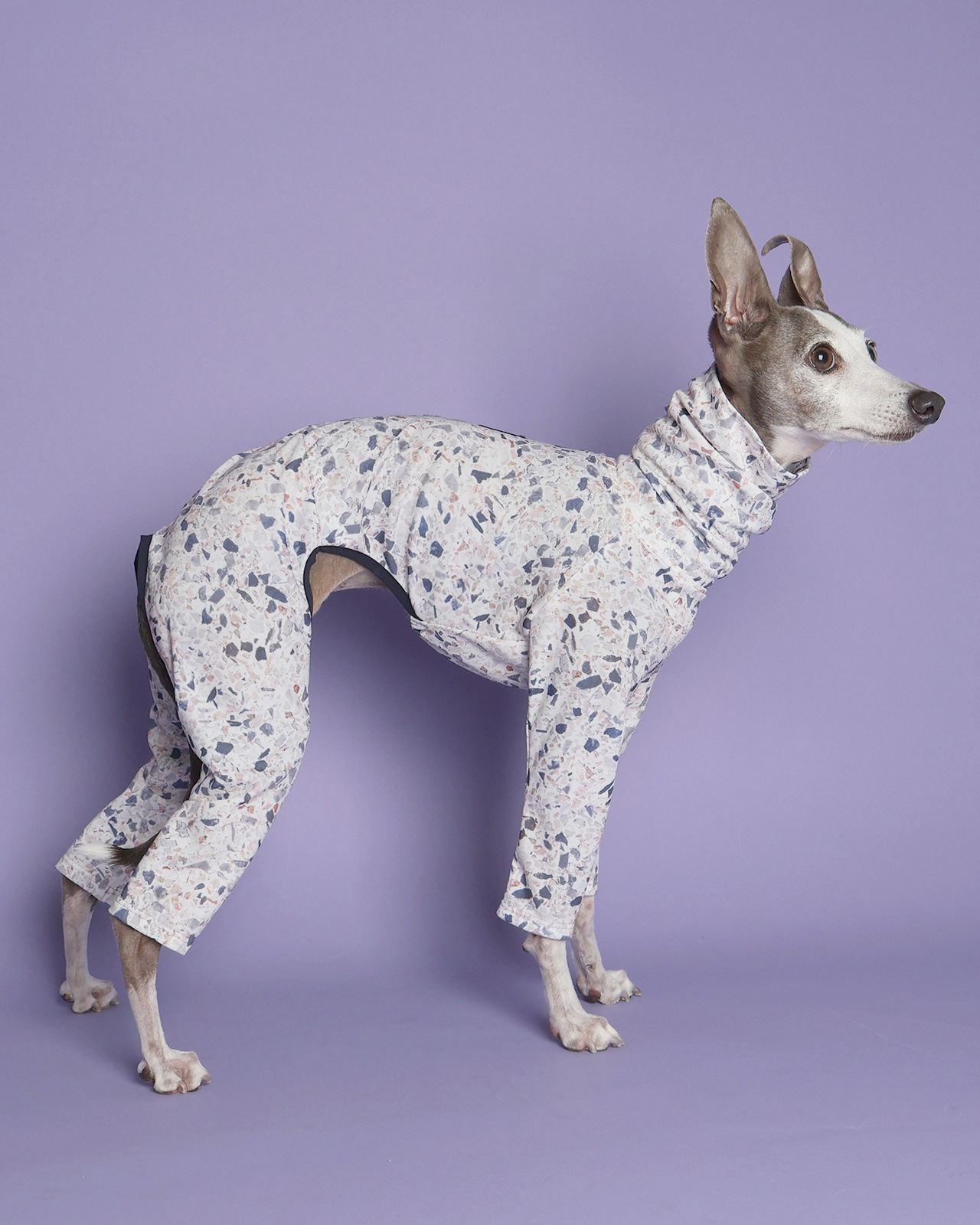 Rushguard Rompers (25SS)