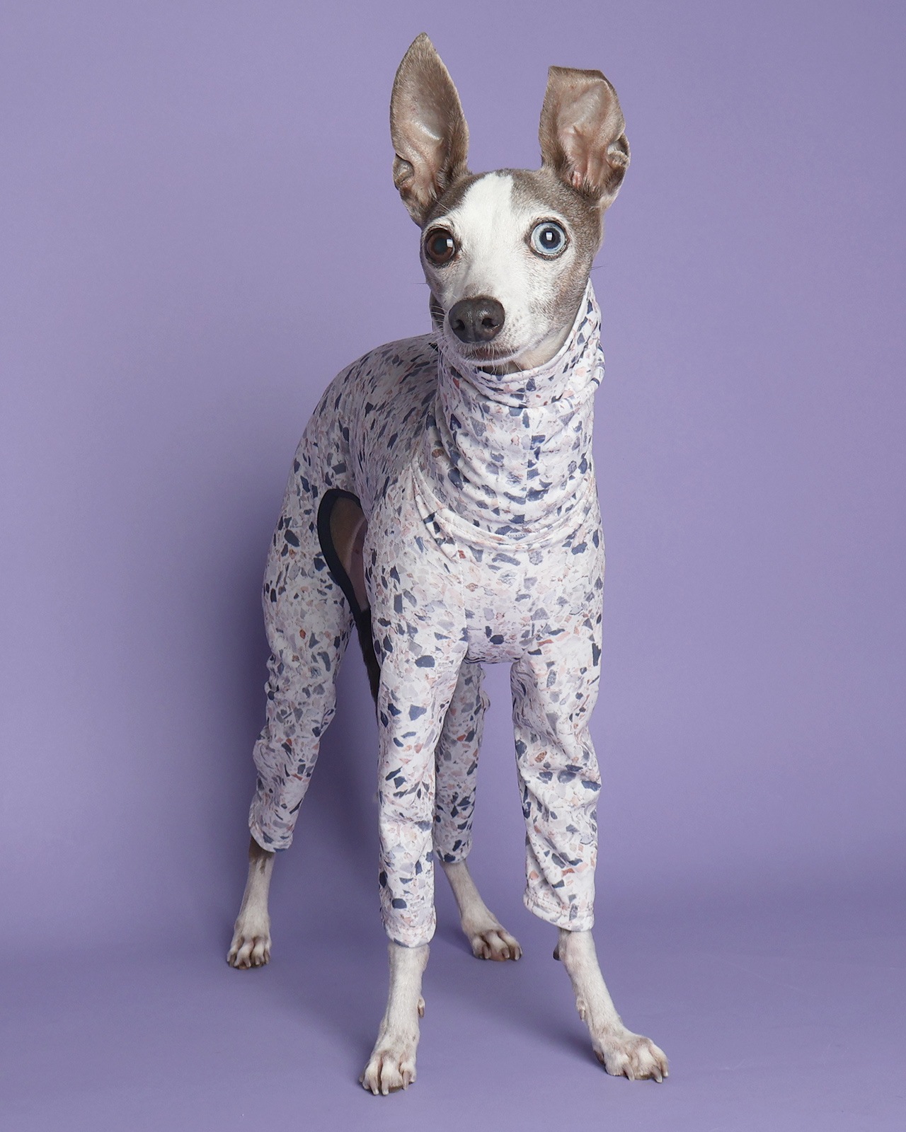 Rushguard Rompers (25SS)