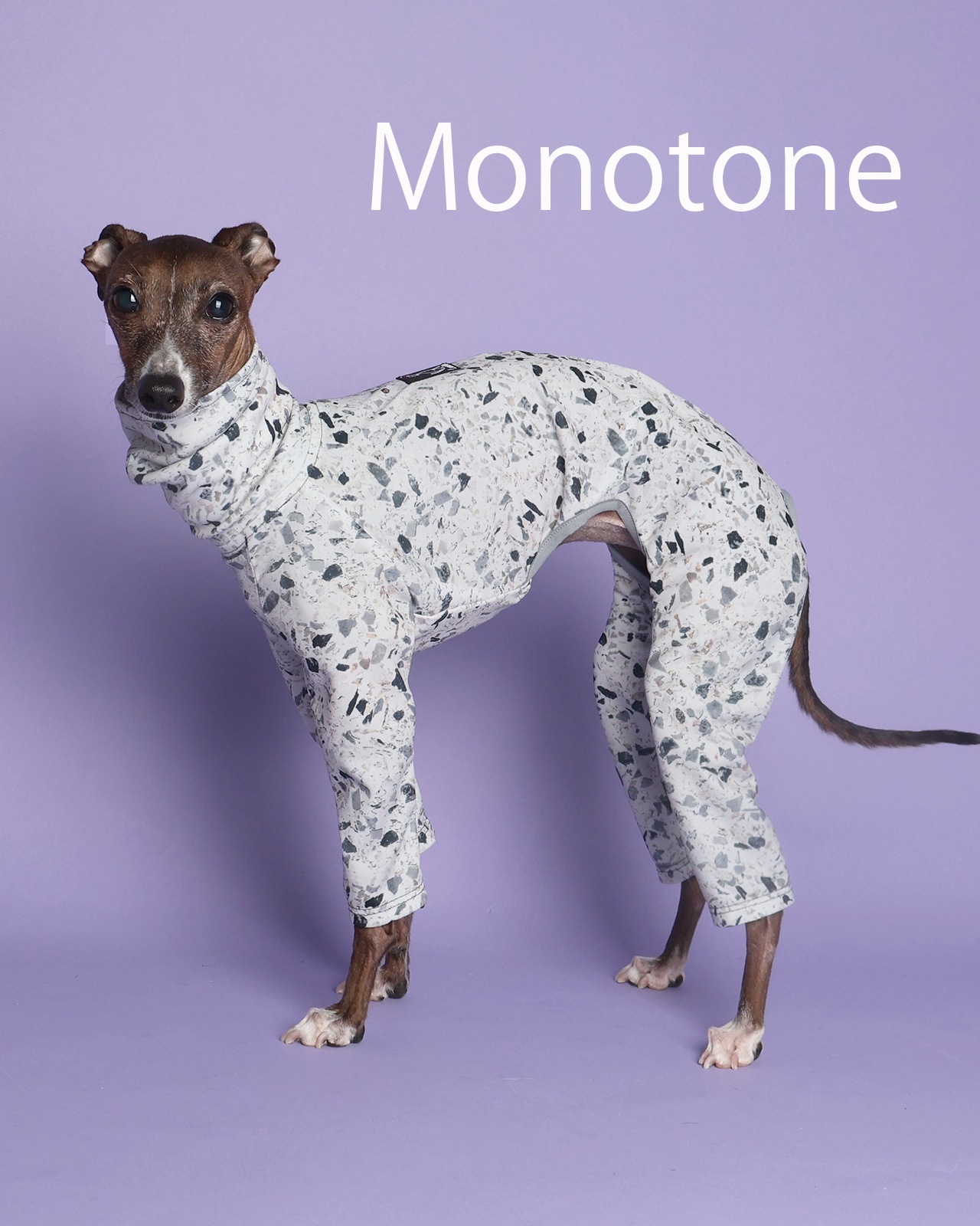 Rushguard Rompers (25SS)