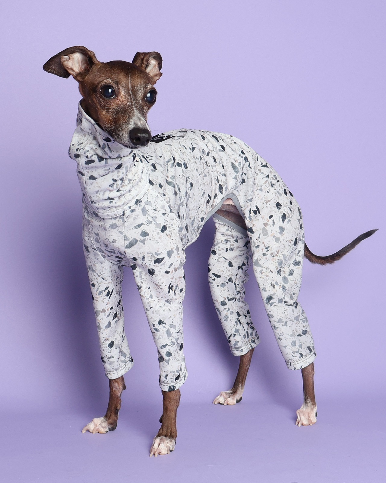 Rushguard Rompers (25SS)