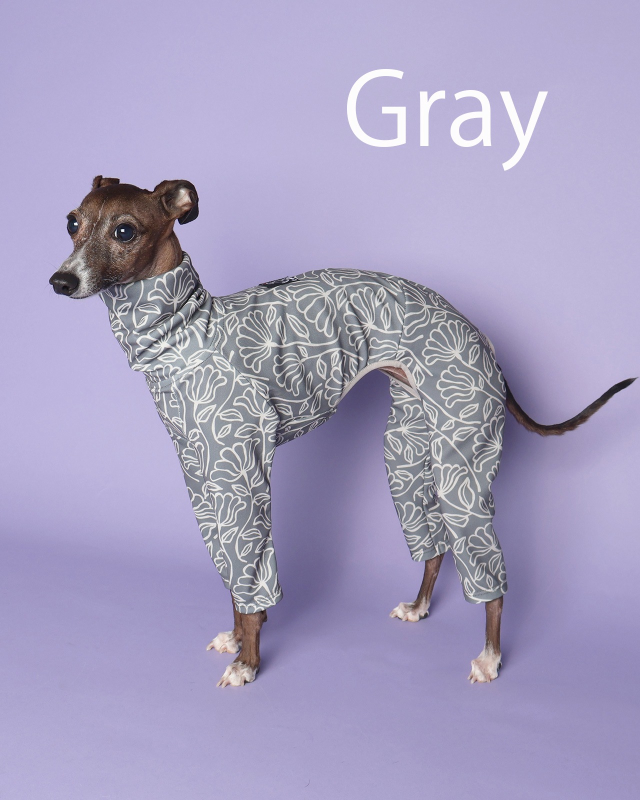 Rushguard Rompers (25SS)