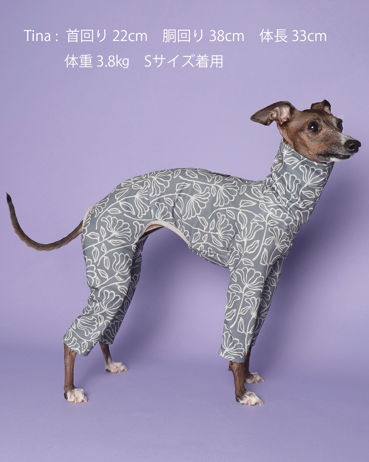 Rushguard Rompers (25SS)