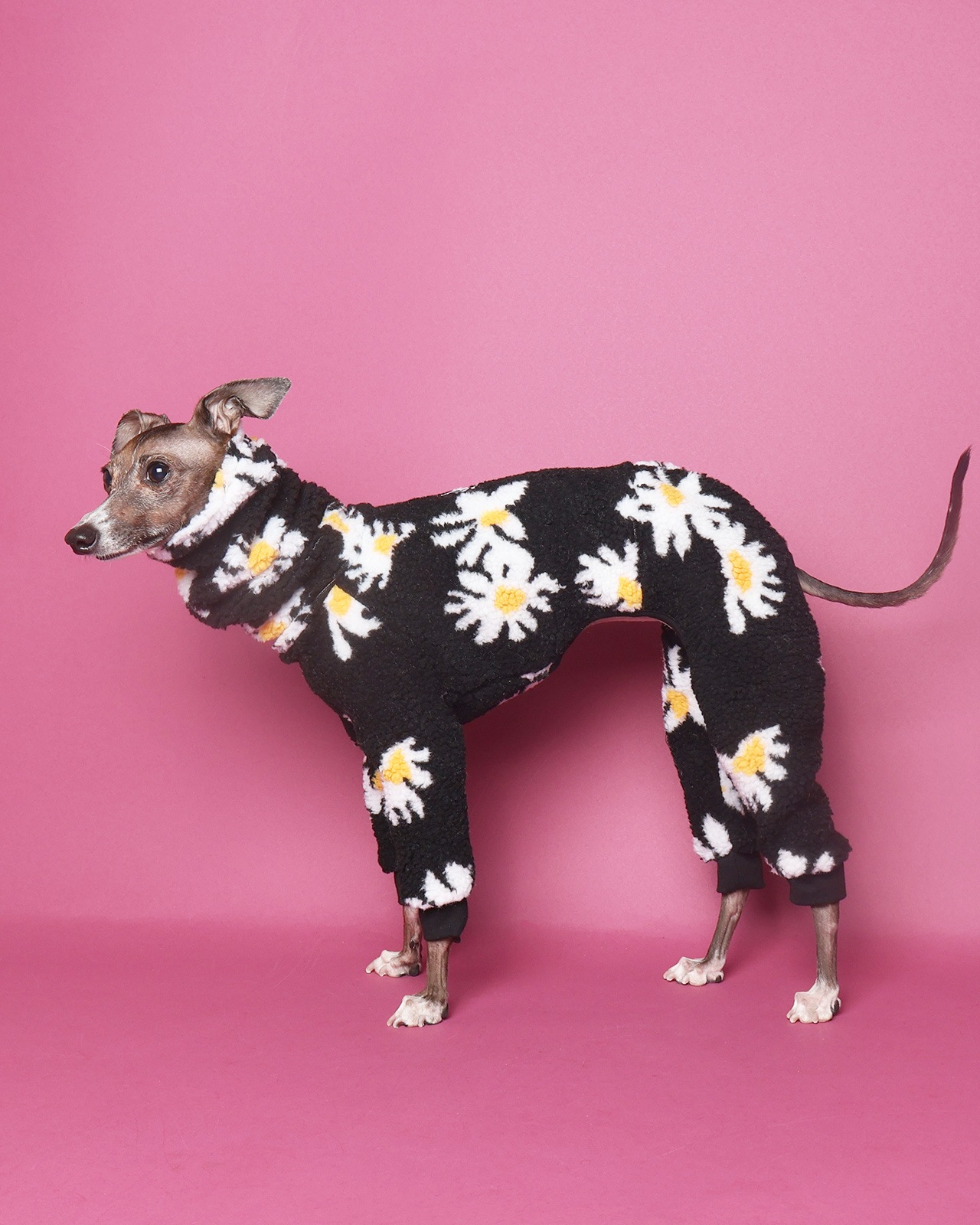 Boa Rompers��25AW