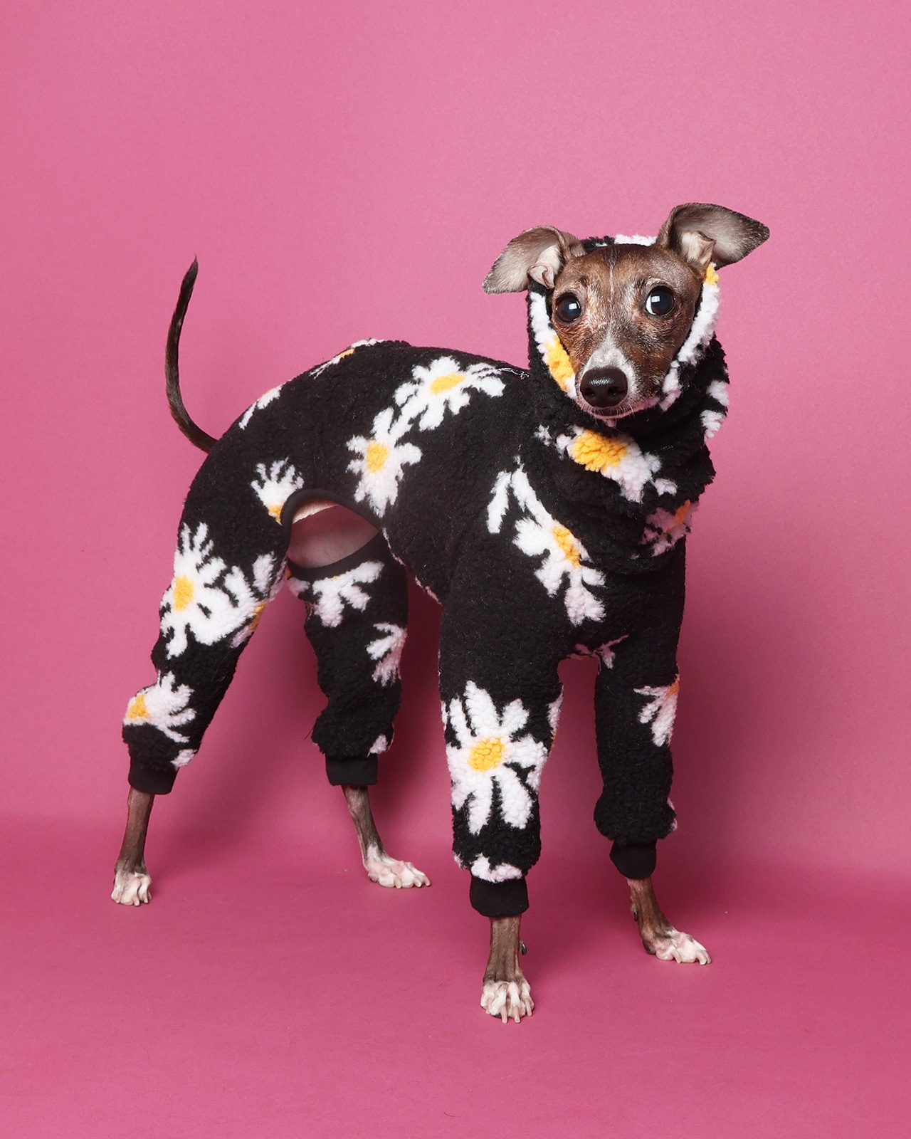 Boa Rompers��25AW