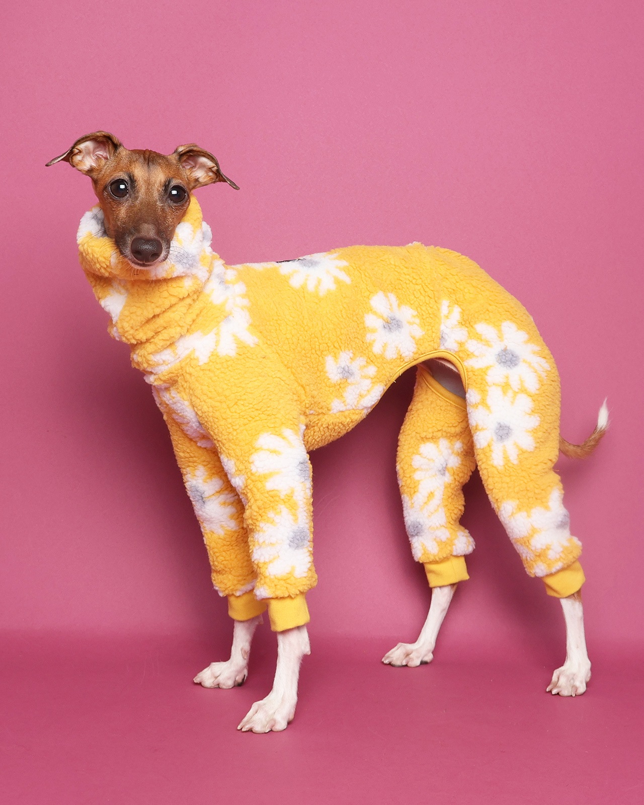 Boa Rompers��25AW