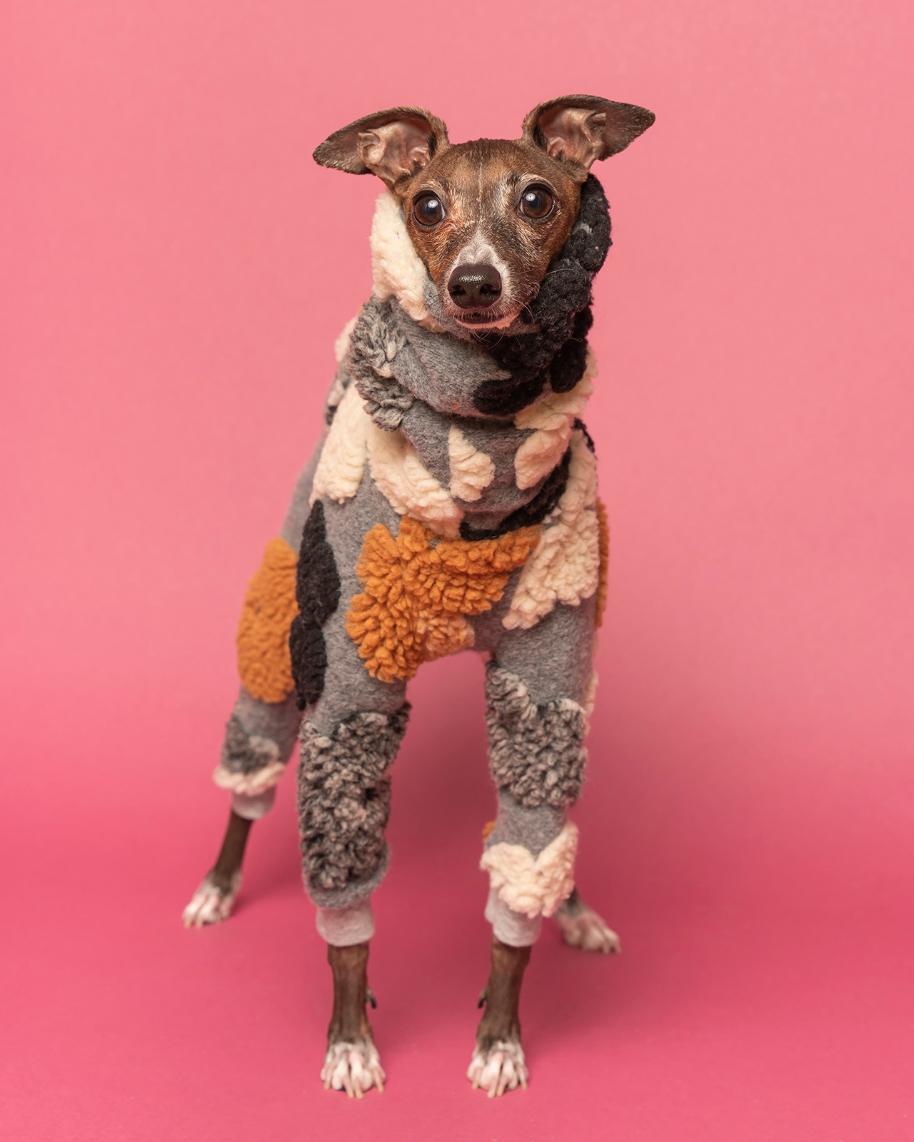 Boa Rompers��25AW