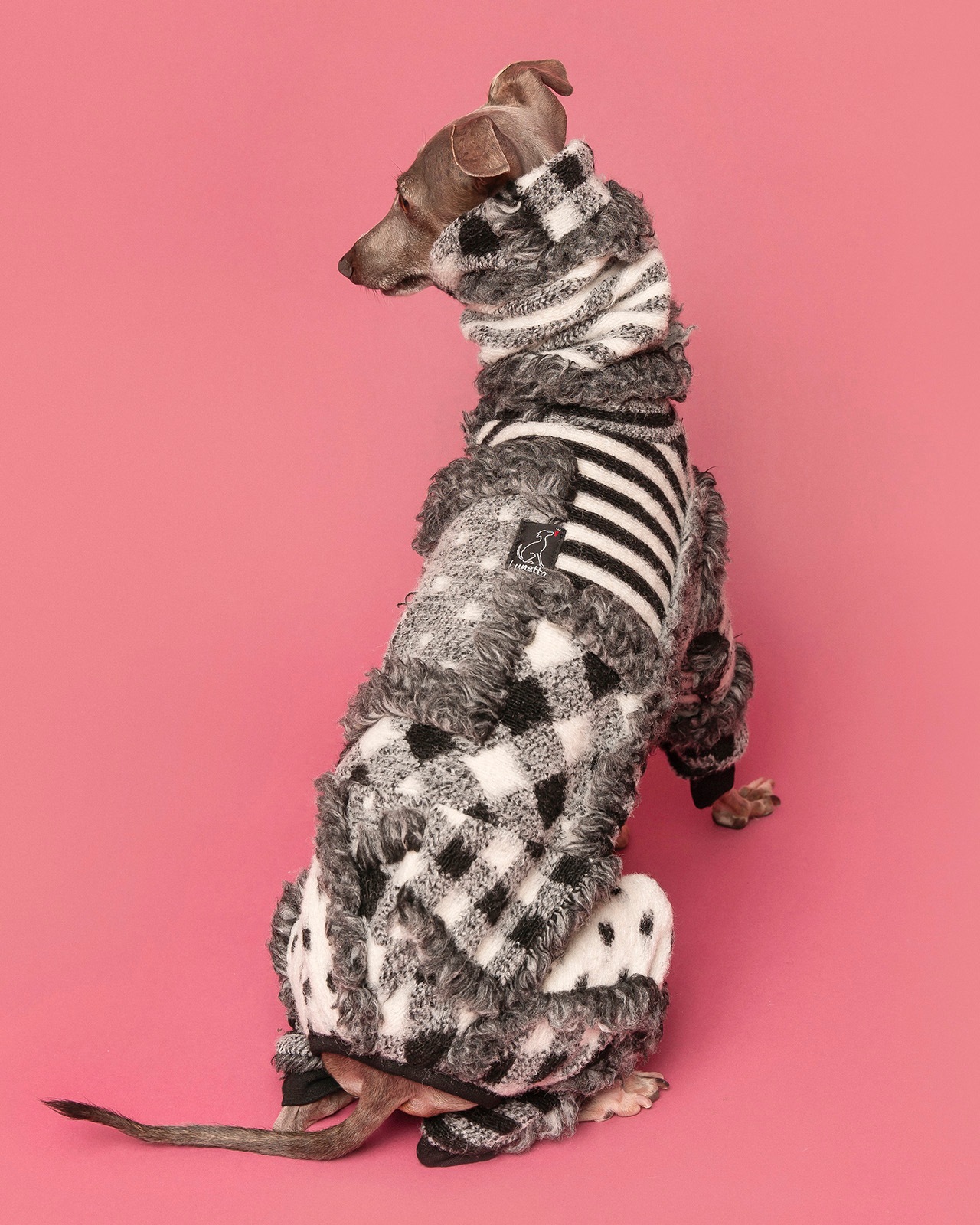 1_000000000192.jpg?1764241017